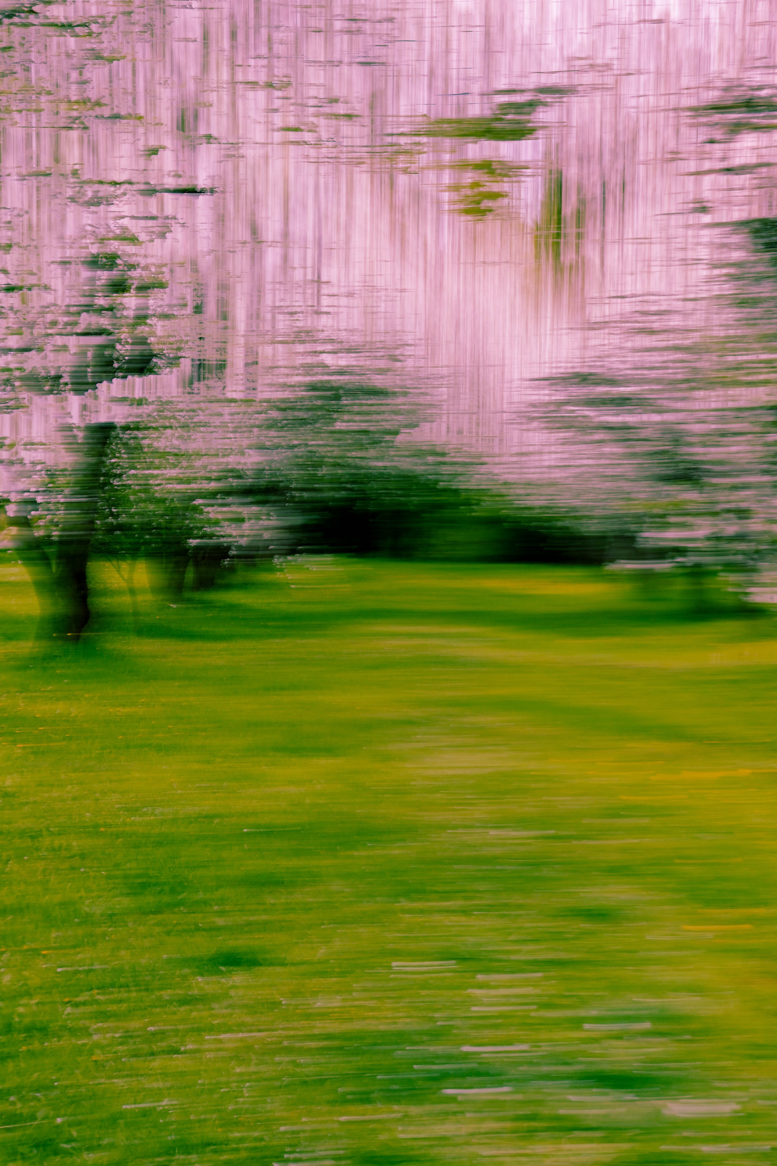 Фотограф Вадим Бодылев