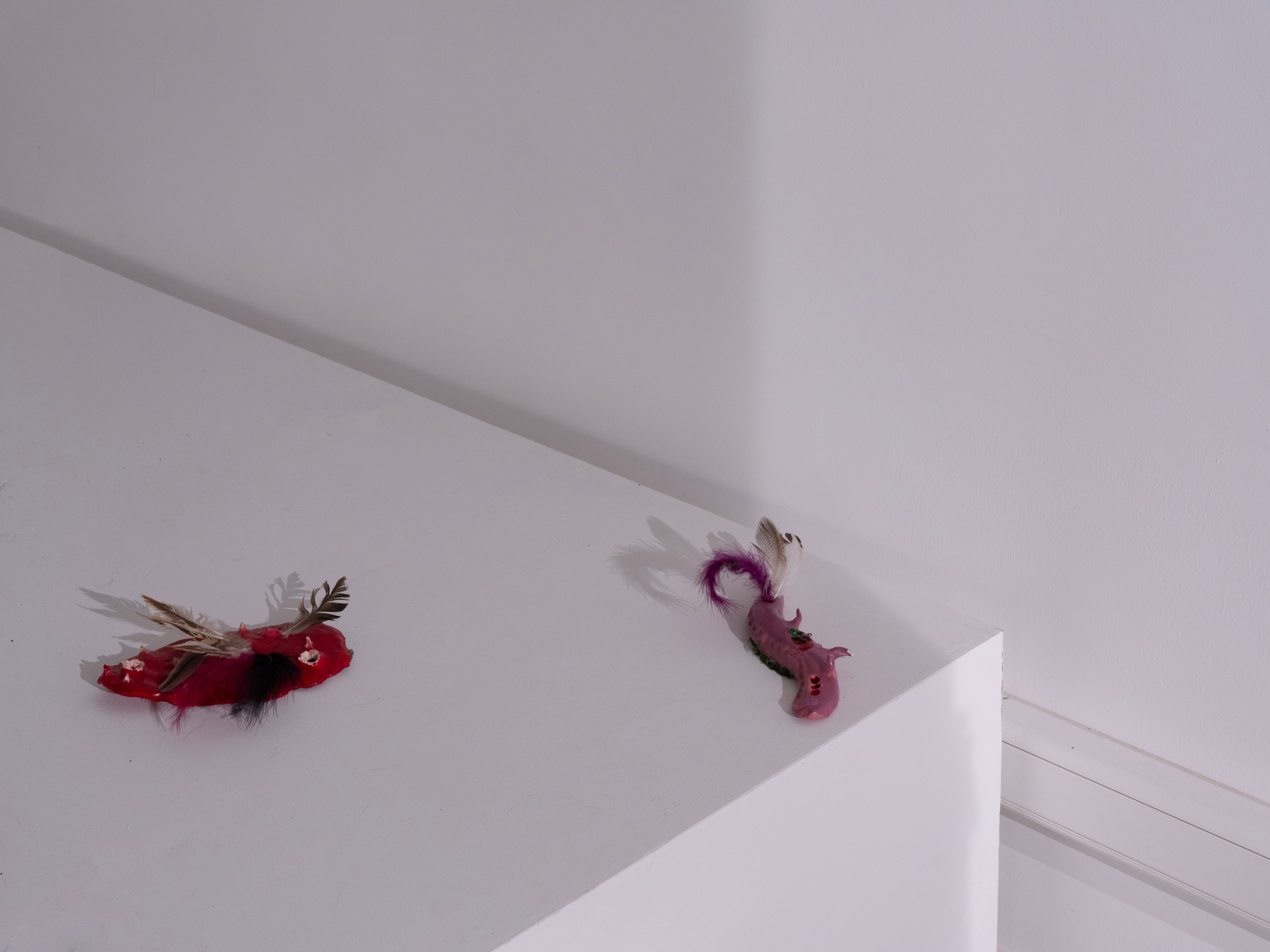 Дивный сад. Елизавета Иванова — независимый куратор, культуролог, исследователь художественных практик, художник