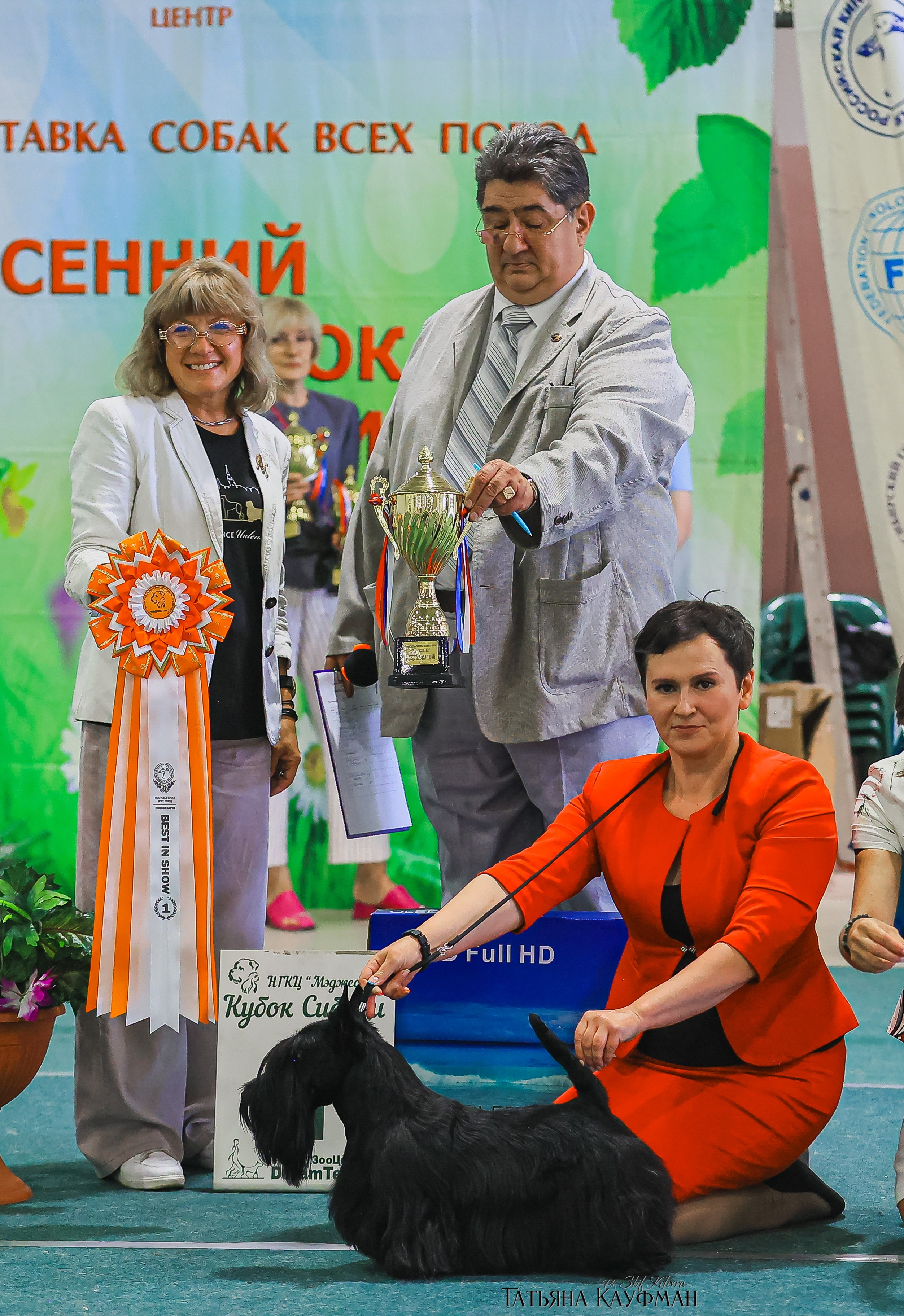 13.07.25 2х выставки собак. Новосибирск. «Кубок Сибири»