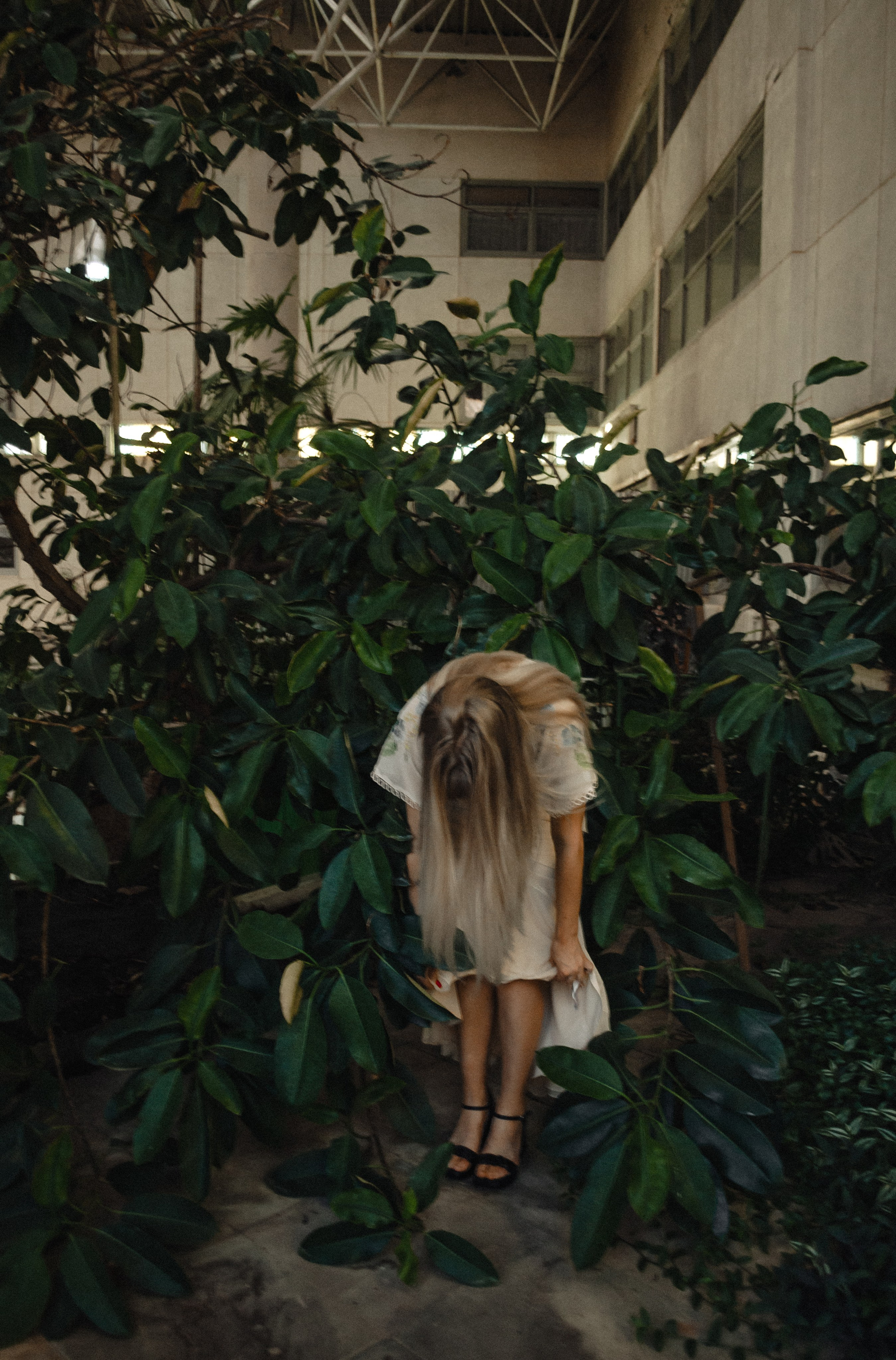 Зимний сад. Фотограф Настя | Экспедиции и лайфстайл