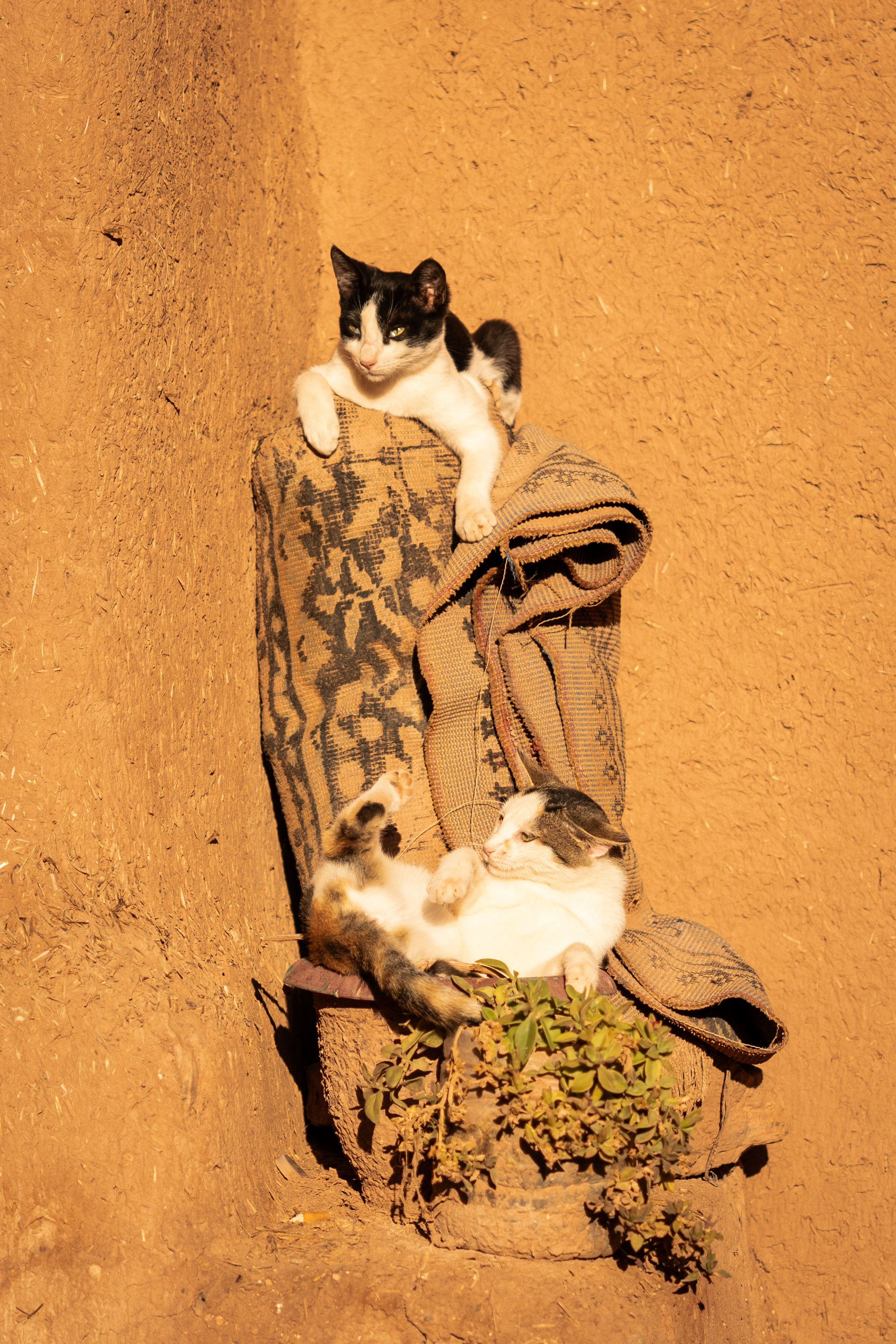 Марокко. Илья Варин — Фотограф Москва, Тверь