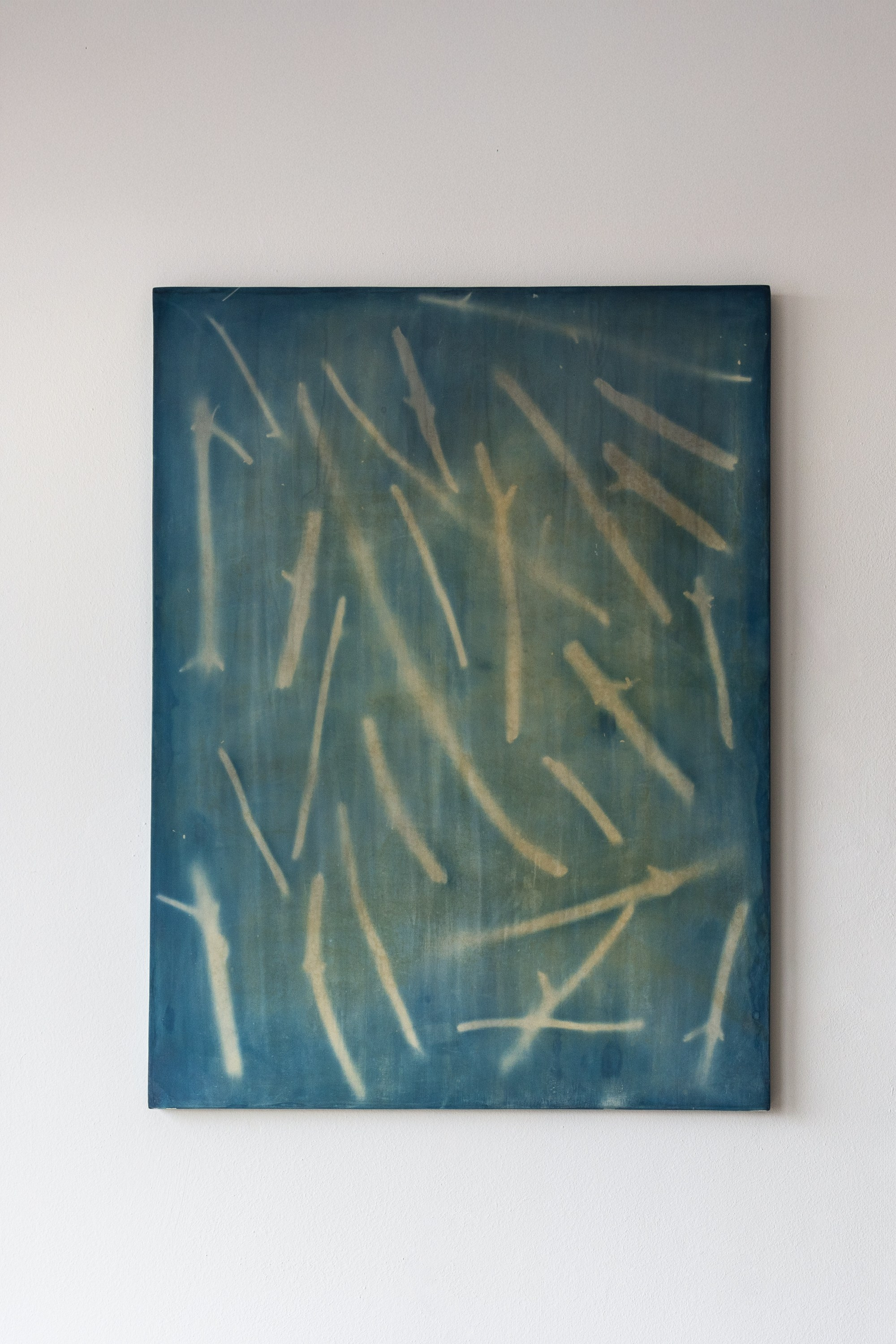 222-247. Размер работы: 60 × 80, 2023 (дерево, фанера, штукатурка, цианотипия)