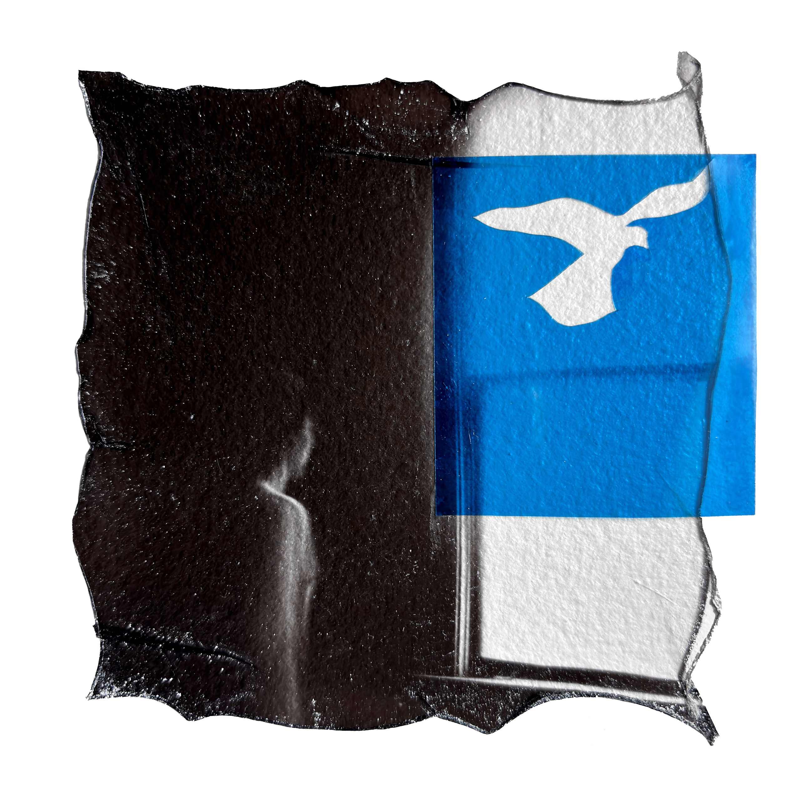 Liberation project by Vladimir Borele. Vladimir Borele Photographer