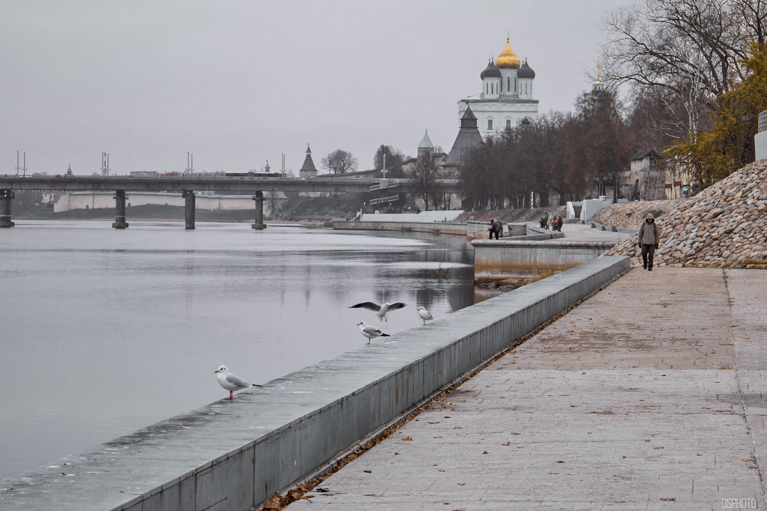 Псков. Ноябрь. Фотографъ Сергѣевъ. Поймать мгновеніе