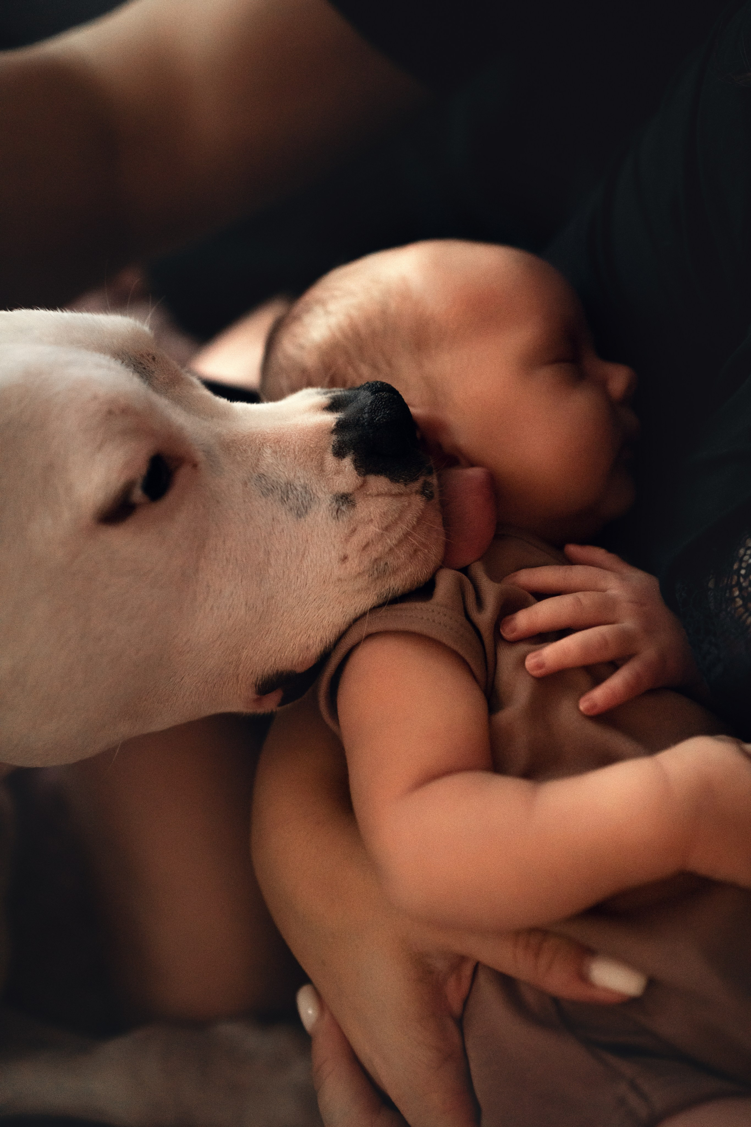 Домашняя ньюборн фотосессия. Детский, семейный и ньюборн фотограф в Москве Юлия Шуарт