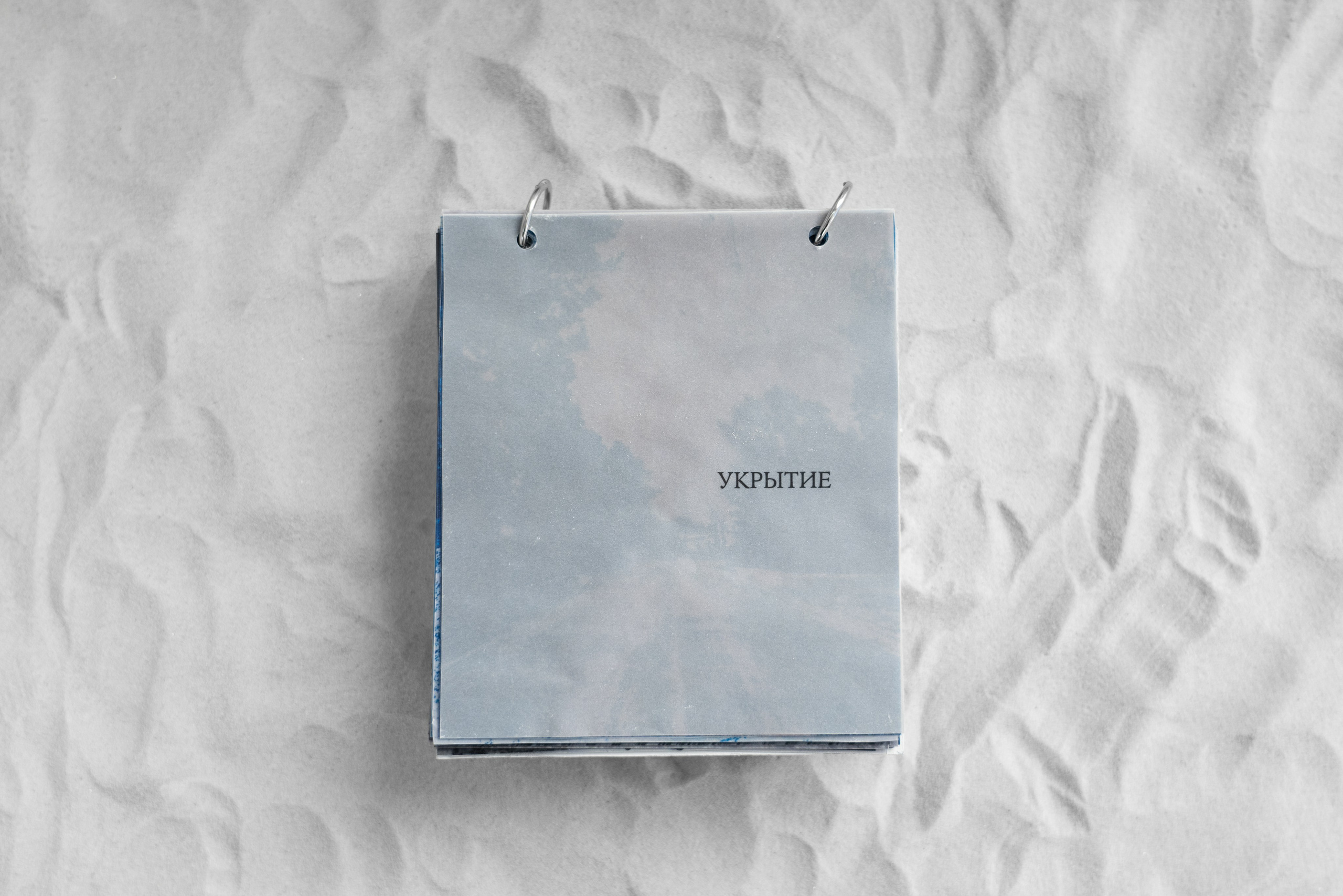 Укрытие. Катрин Эдельвак