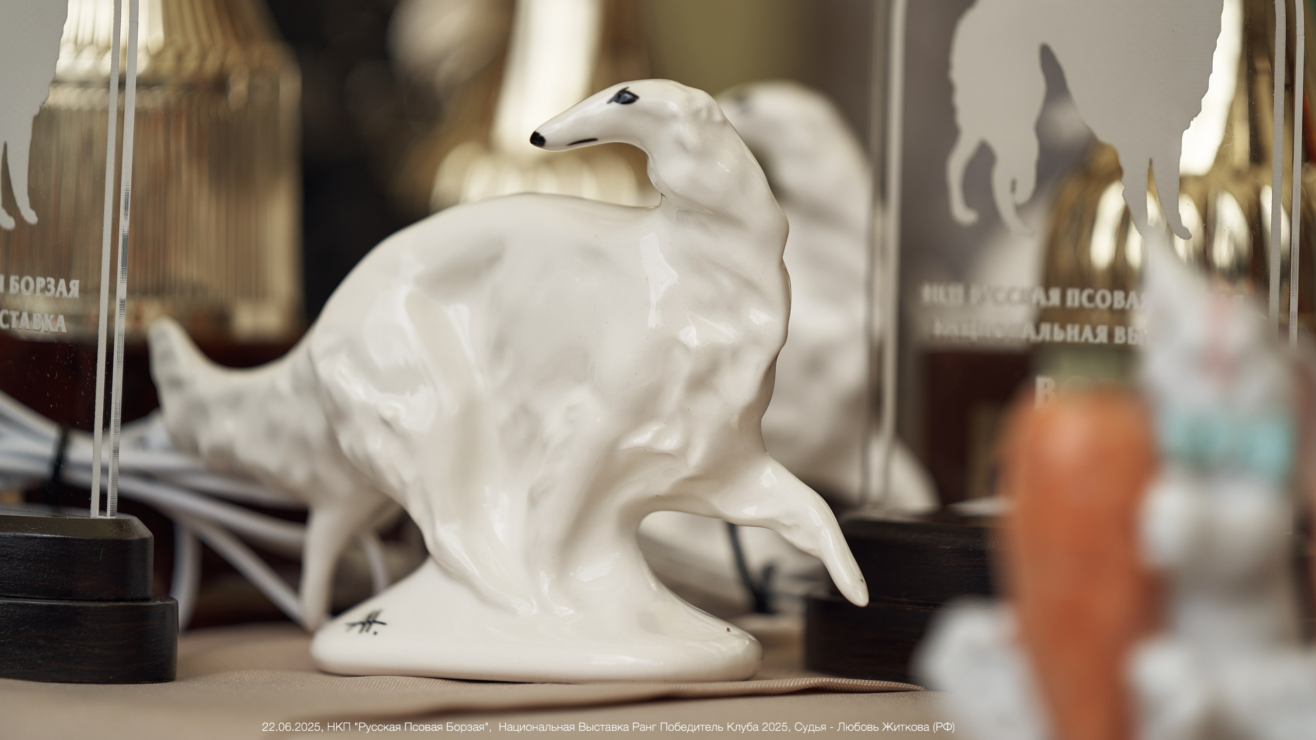 22.06.2025 | Национальная Выставка НКП "Русская Псовая Борзая"