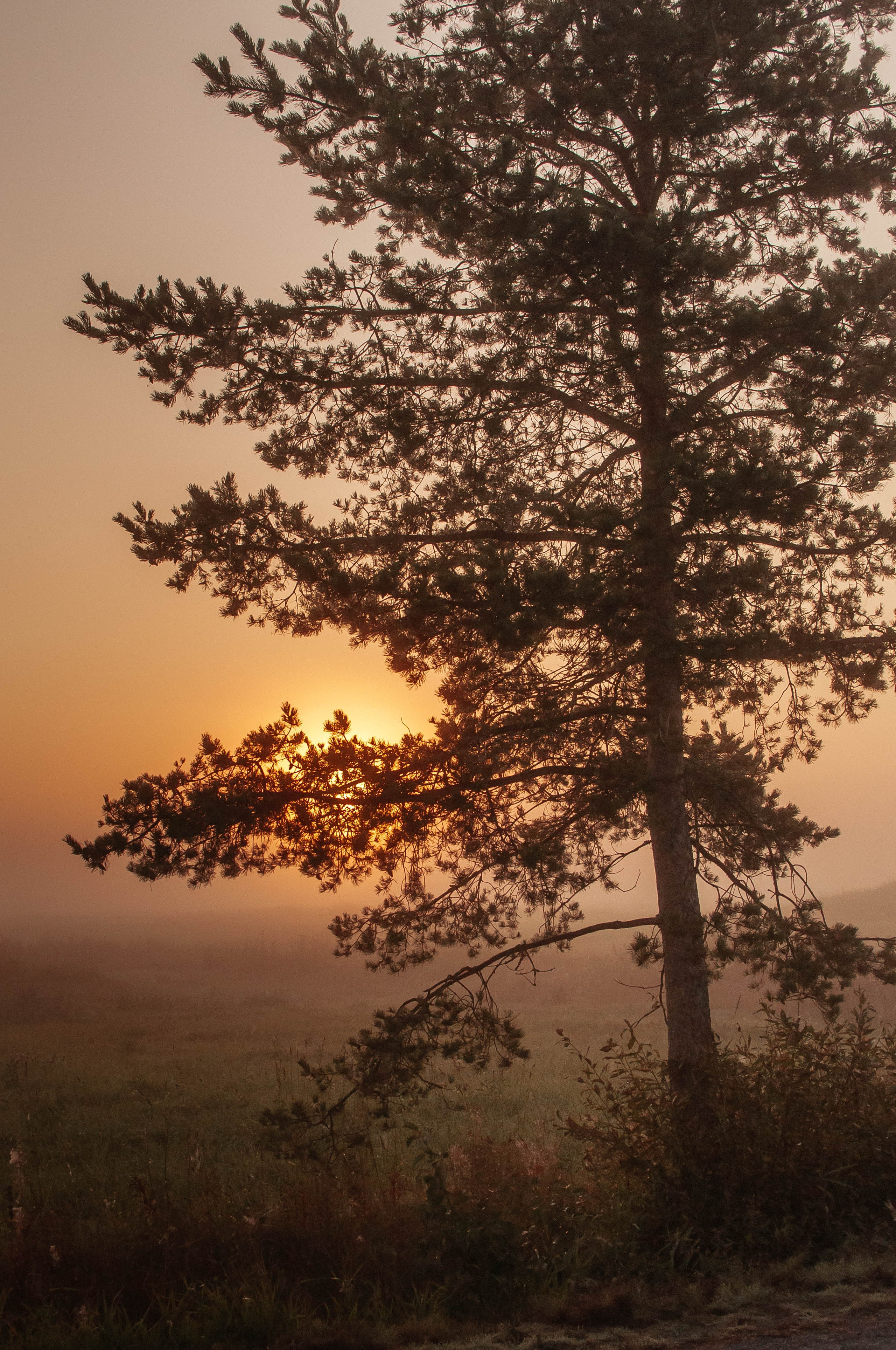 Семейный фотограф из Петрозаводска, Карелия