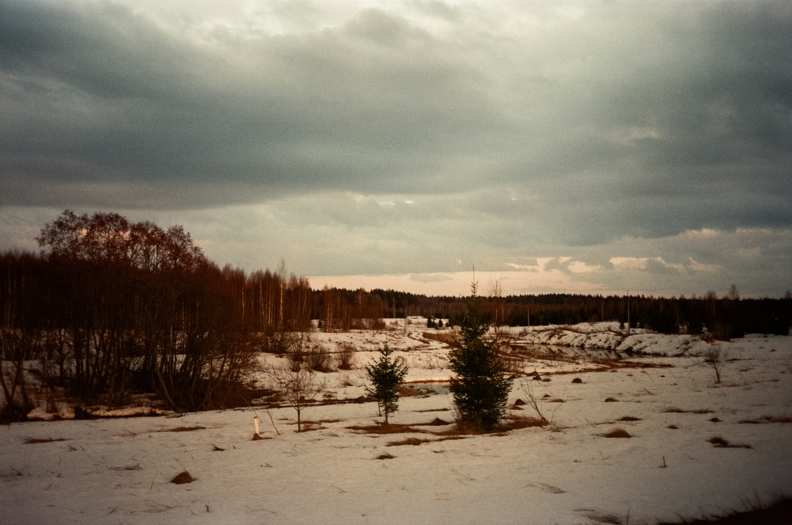 Ricoh FF-300D / Fujifilm X-tra 400 (просрочка) / Лукино март 2024 г