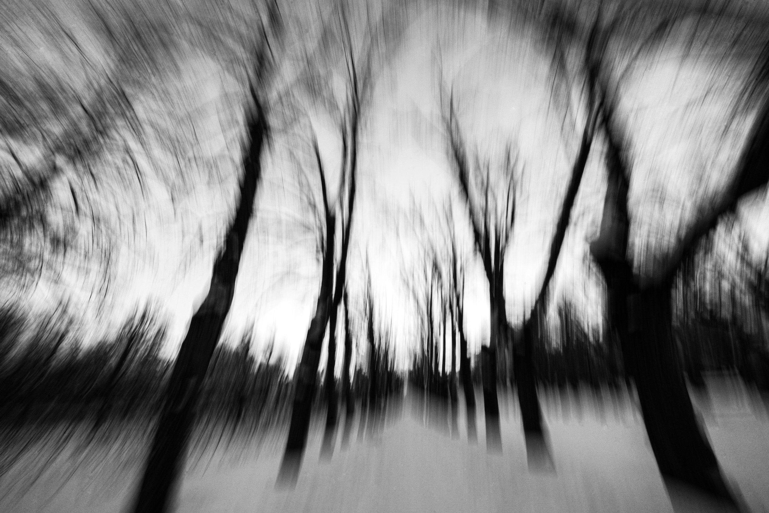 Dreams of Pavlovsk Park. Alla Remizova, photographer