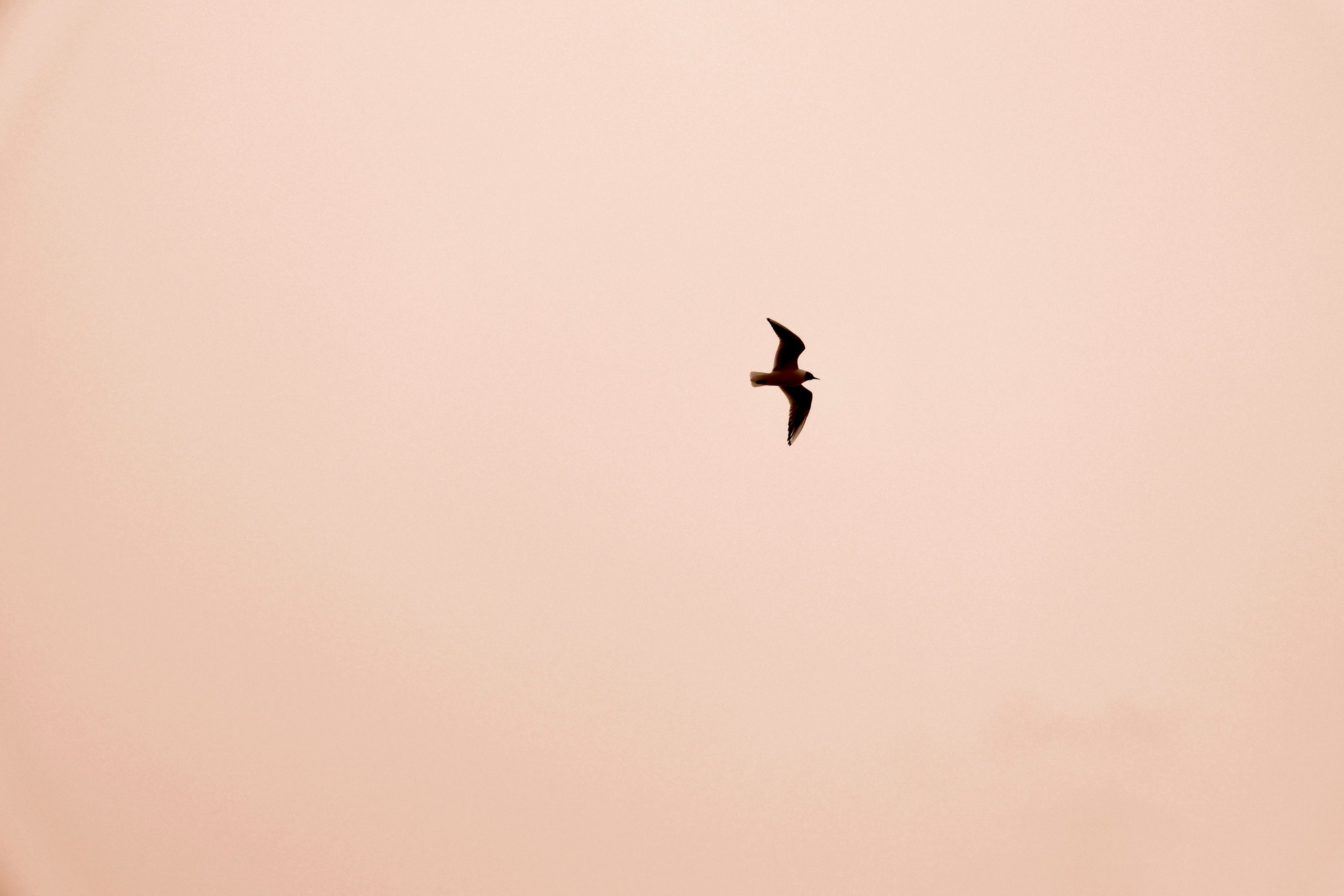Фотограф и художник в Москве Евгения Нюнина