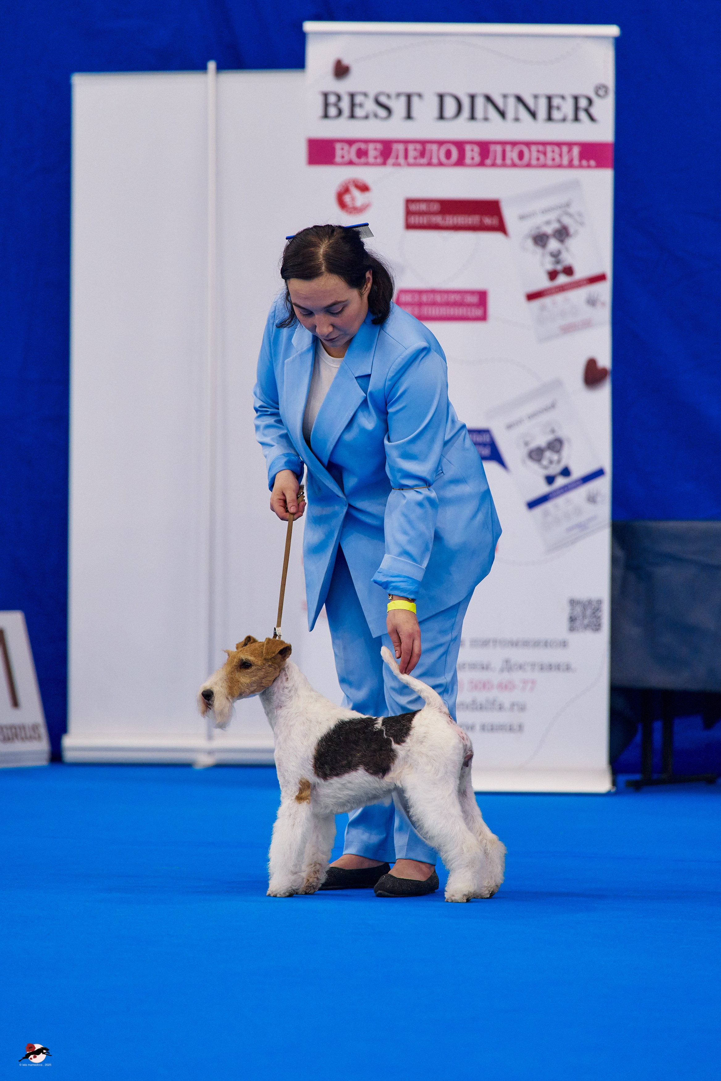 ГРАН ПРИ «ВЕСЕННИЙ ПЕТЕРБУРГ» & «СУПЕР КУБОК «ЭЛИТЫ»-2025»