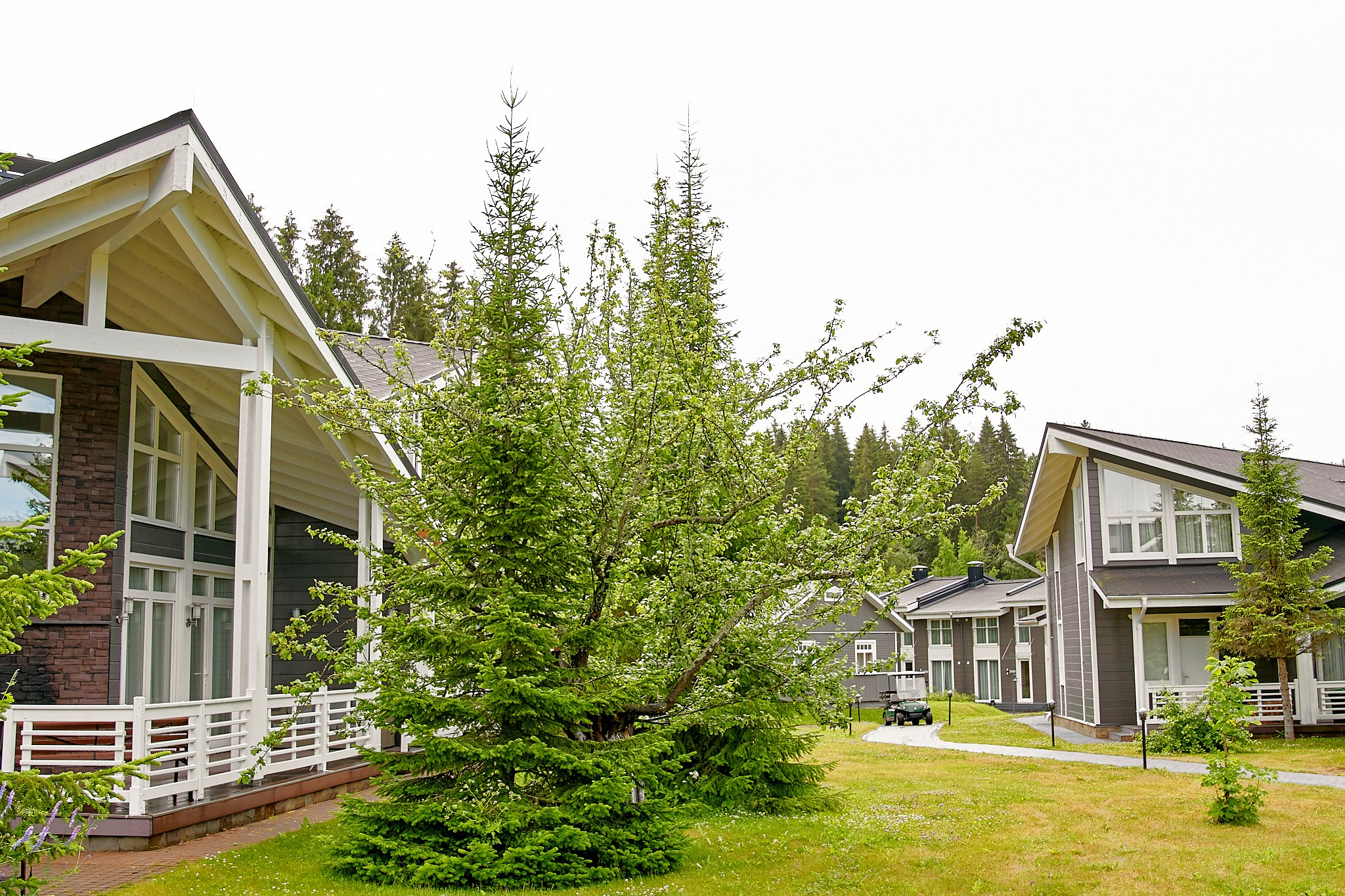 ДАЧА ВИНТЕРА