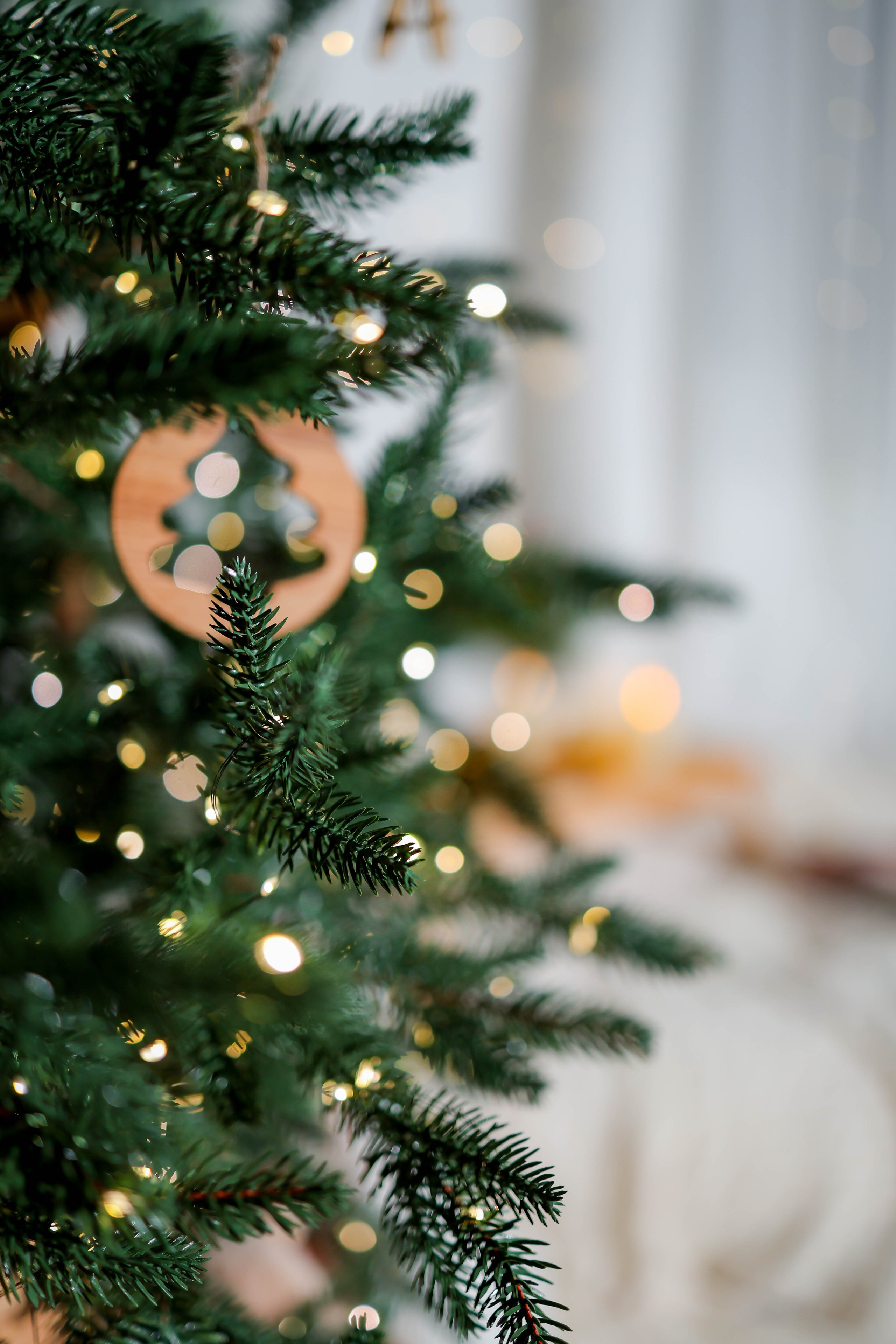 Фотостудия Light_place_photostudio в с. Успенское. Alexsaphoto.ru