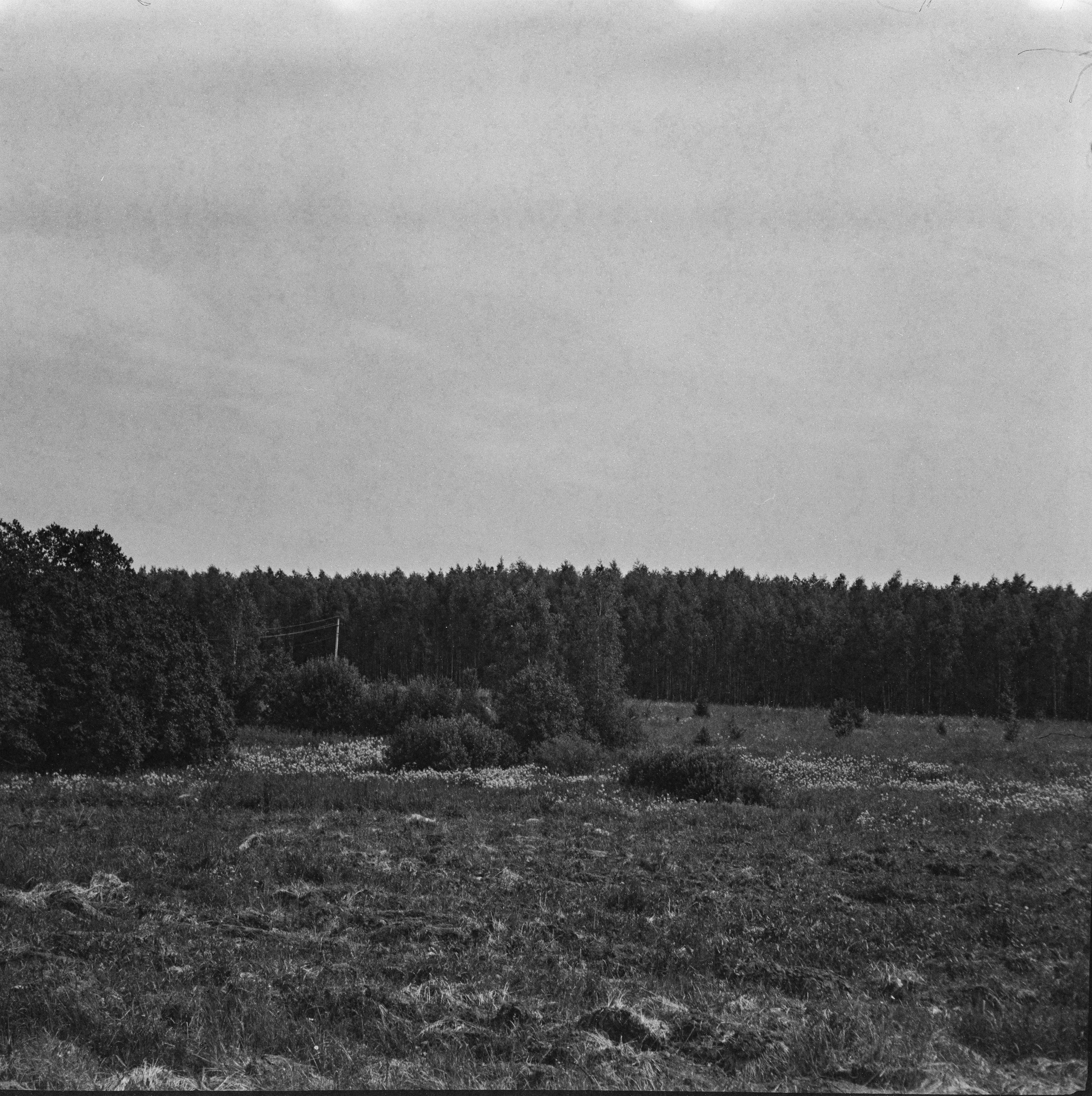 Welta Weltax — Carl Zeiss Jena Tessar T 75 mmf3.5