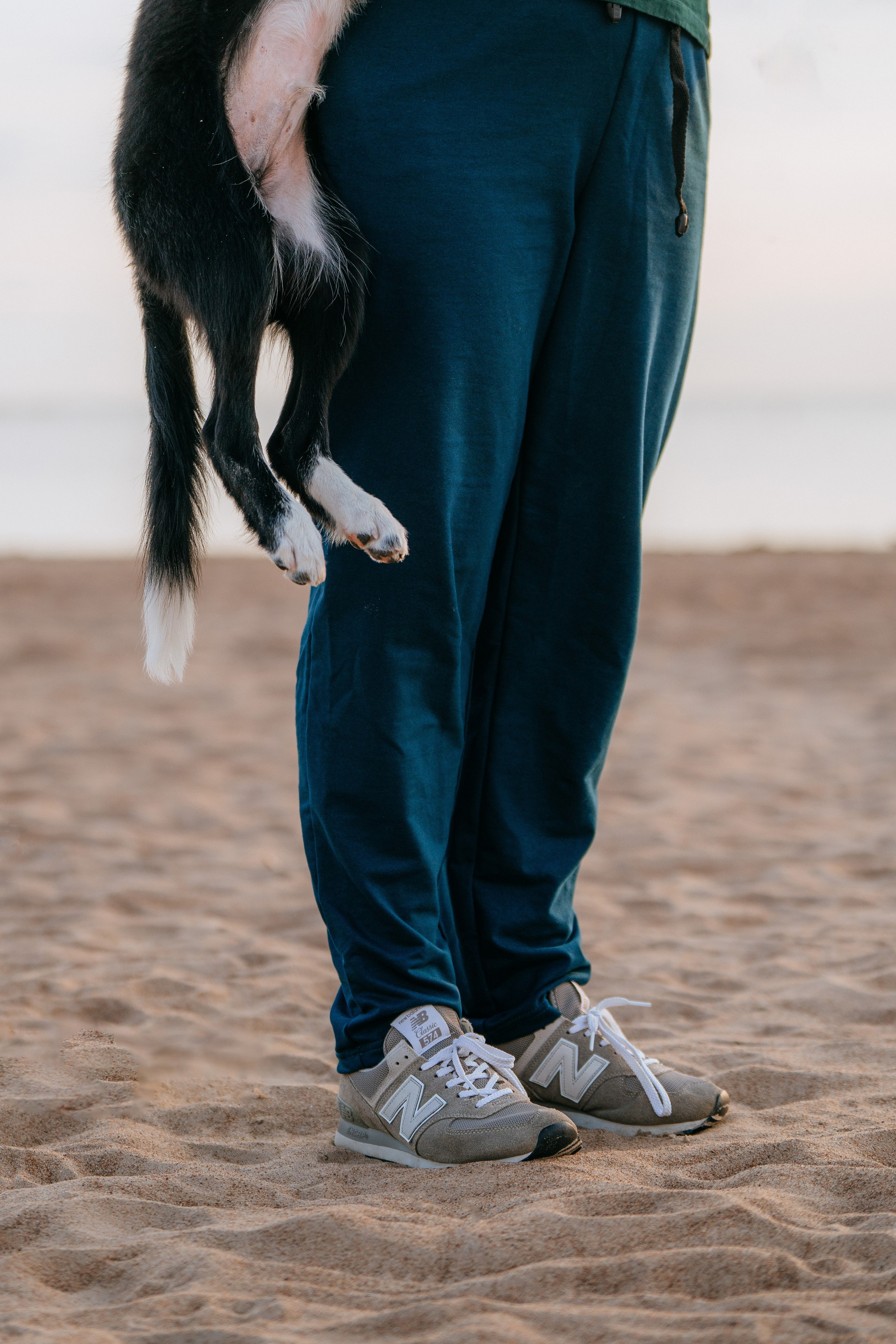 Фотосессия со щенками колли. Фотограф анималист в Спб недорого Олеся Майорова