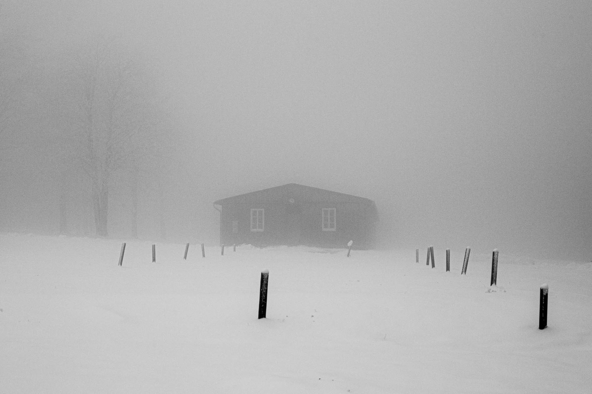 Buchenwald. Rita Novoselova. Photography