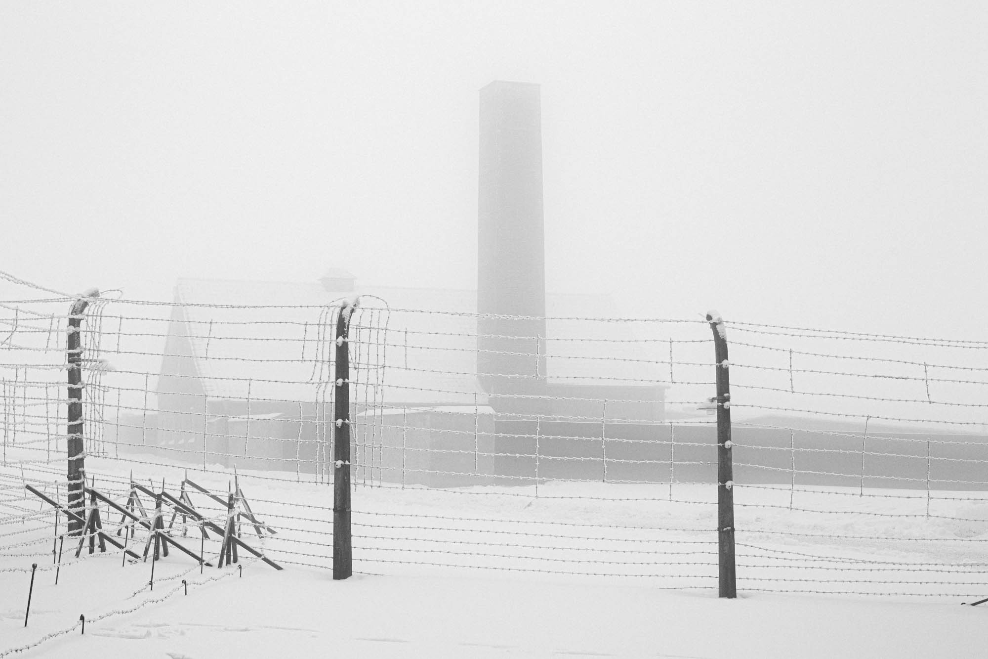 Buchenwald. Rita Novoselova. Photography