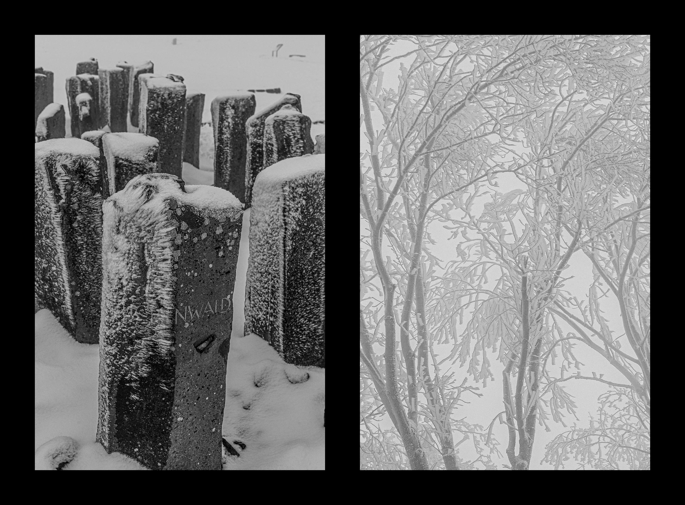 Buchenwald. Rita Novoselova. Photography