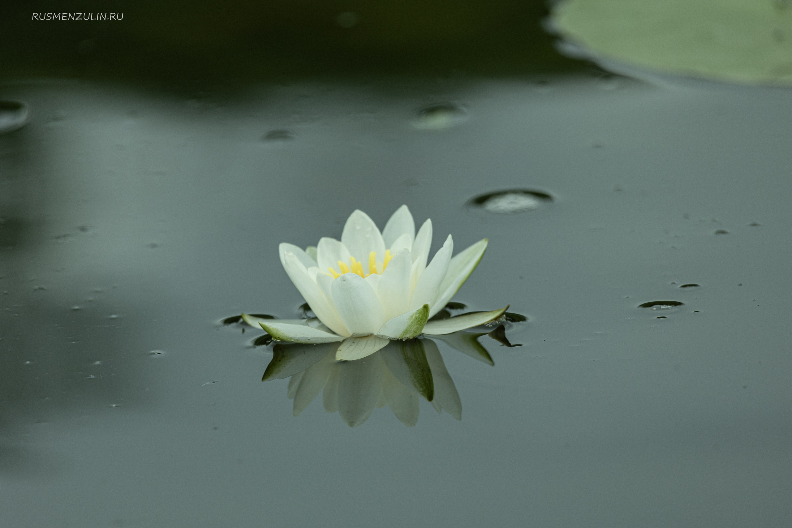 Фотосессия в Никола Ленивце