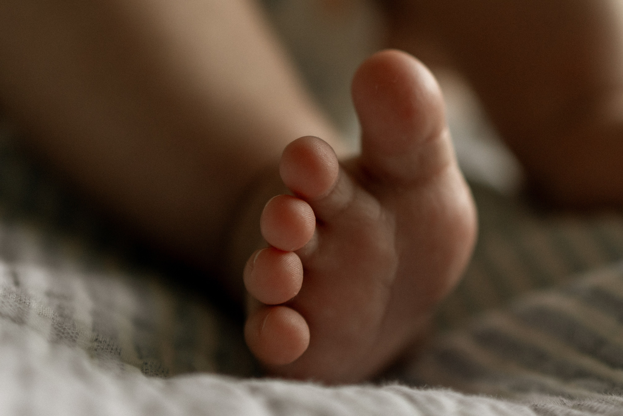 Захару 2 месяца. Семейный фотограф в Санкт-Петербурге — Наташа Тарасенко