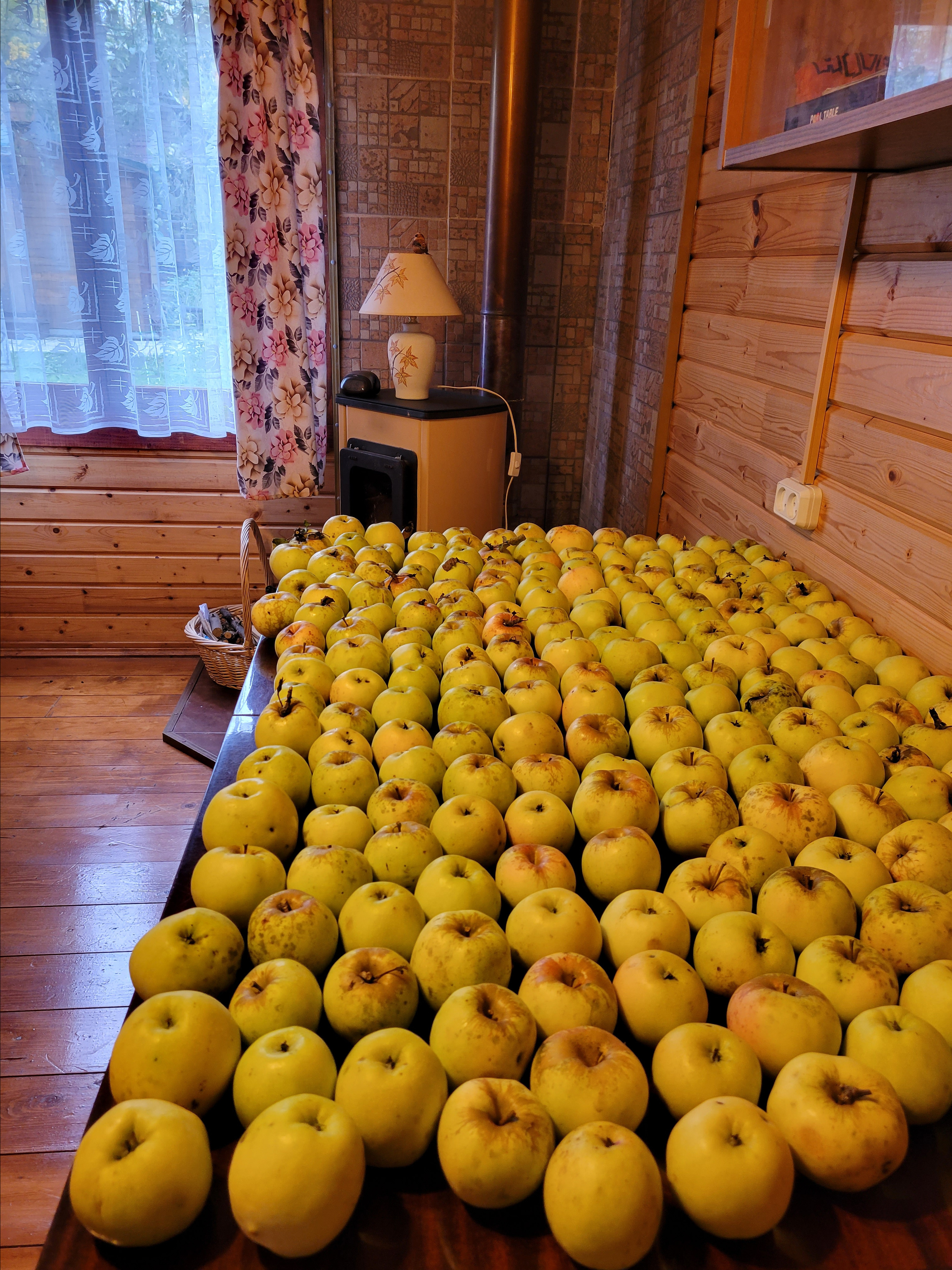 Яблок чуть побольше было