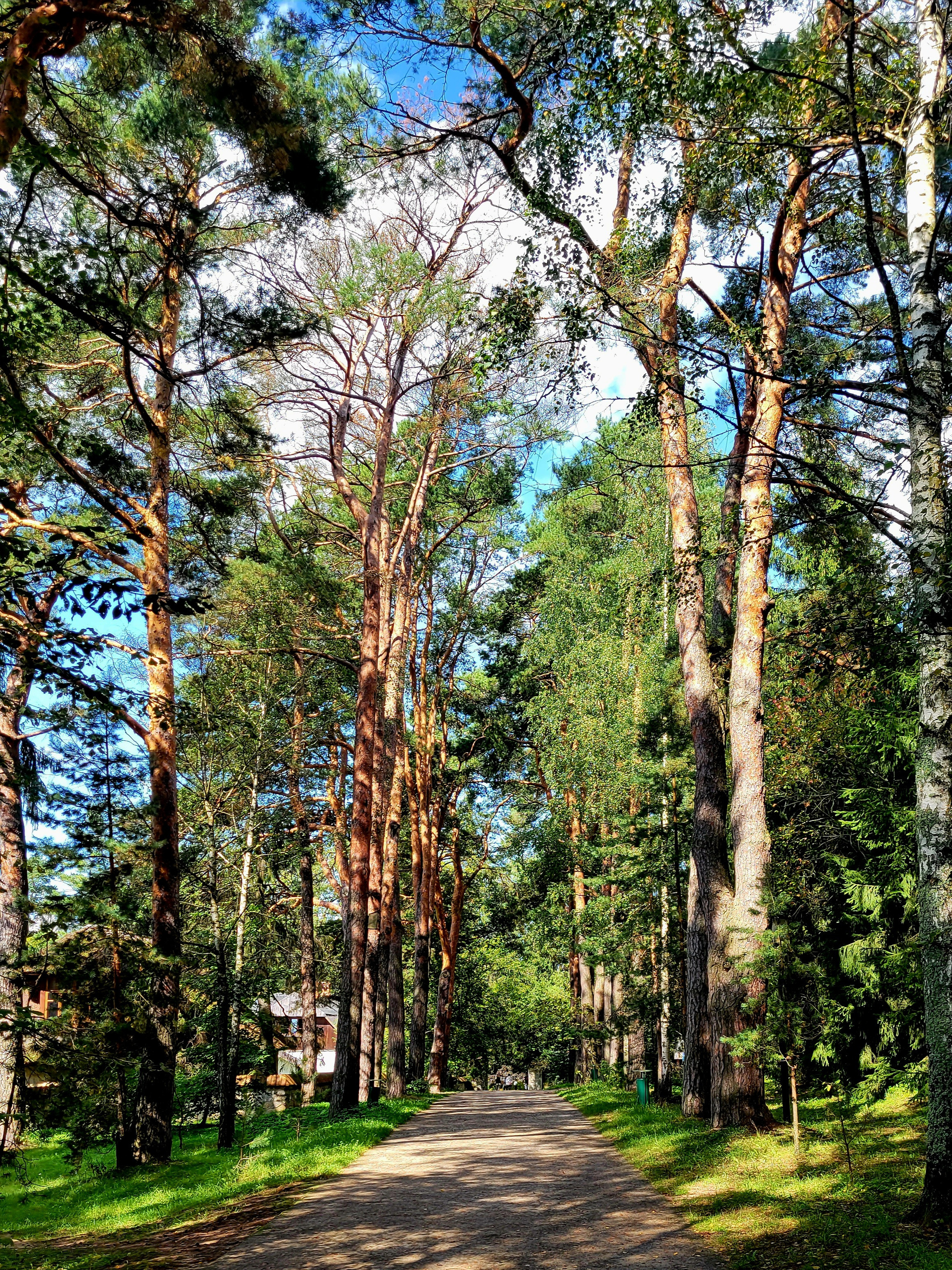 Место для усадьбы Василий Поленов заприметил, проплывая мимо по реке Оке, несколько лет ушло на покупку земли