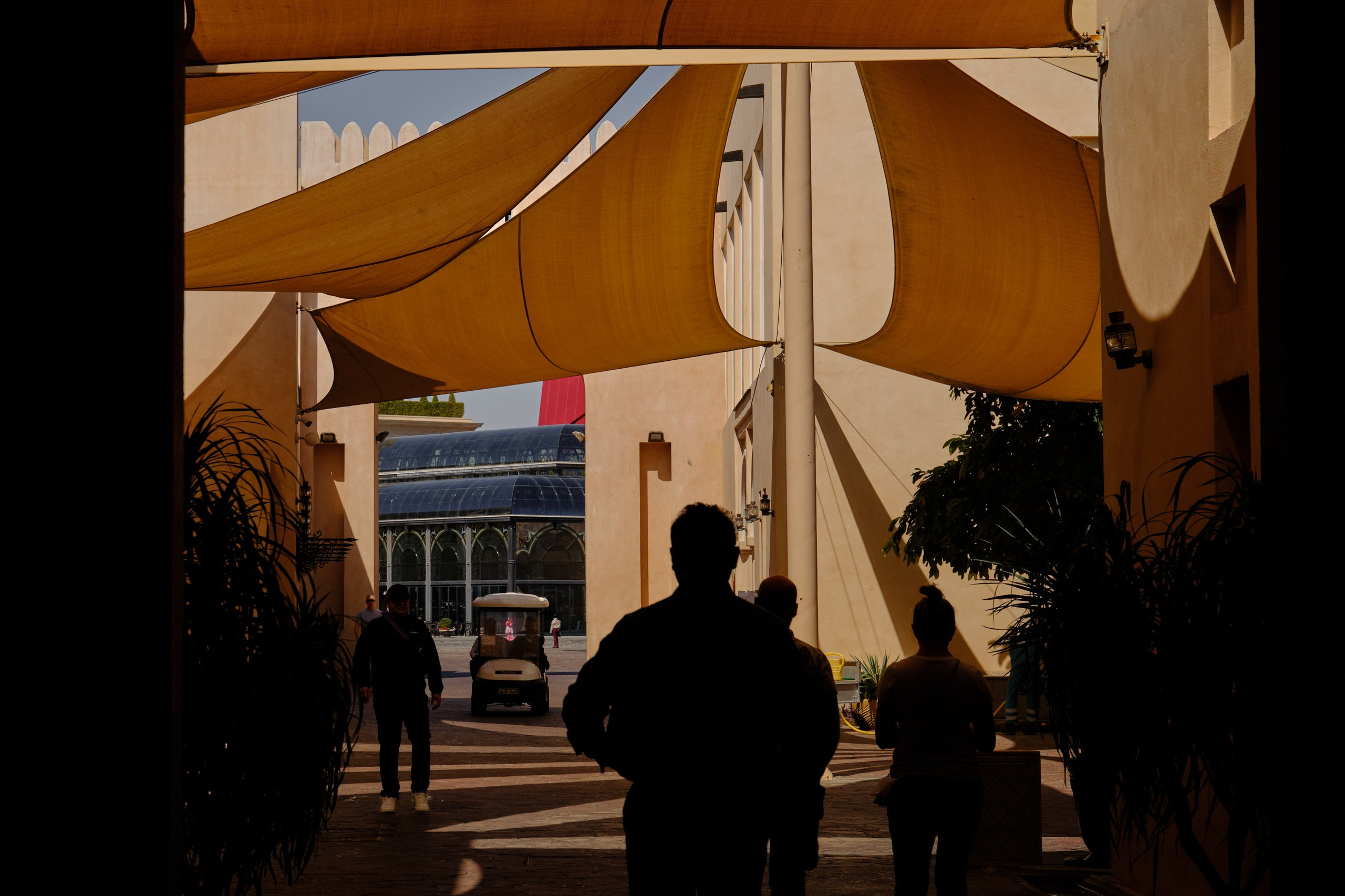 Главная. Юрий Березнюк. Фотограф в Новороссийске. Фотожурналистика