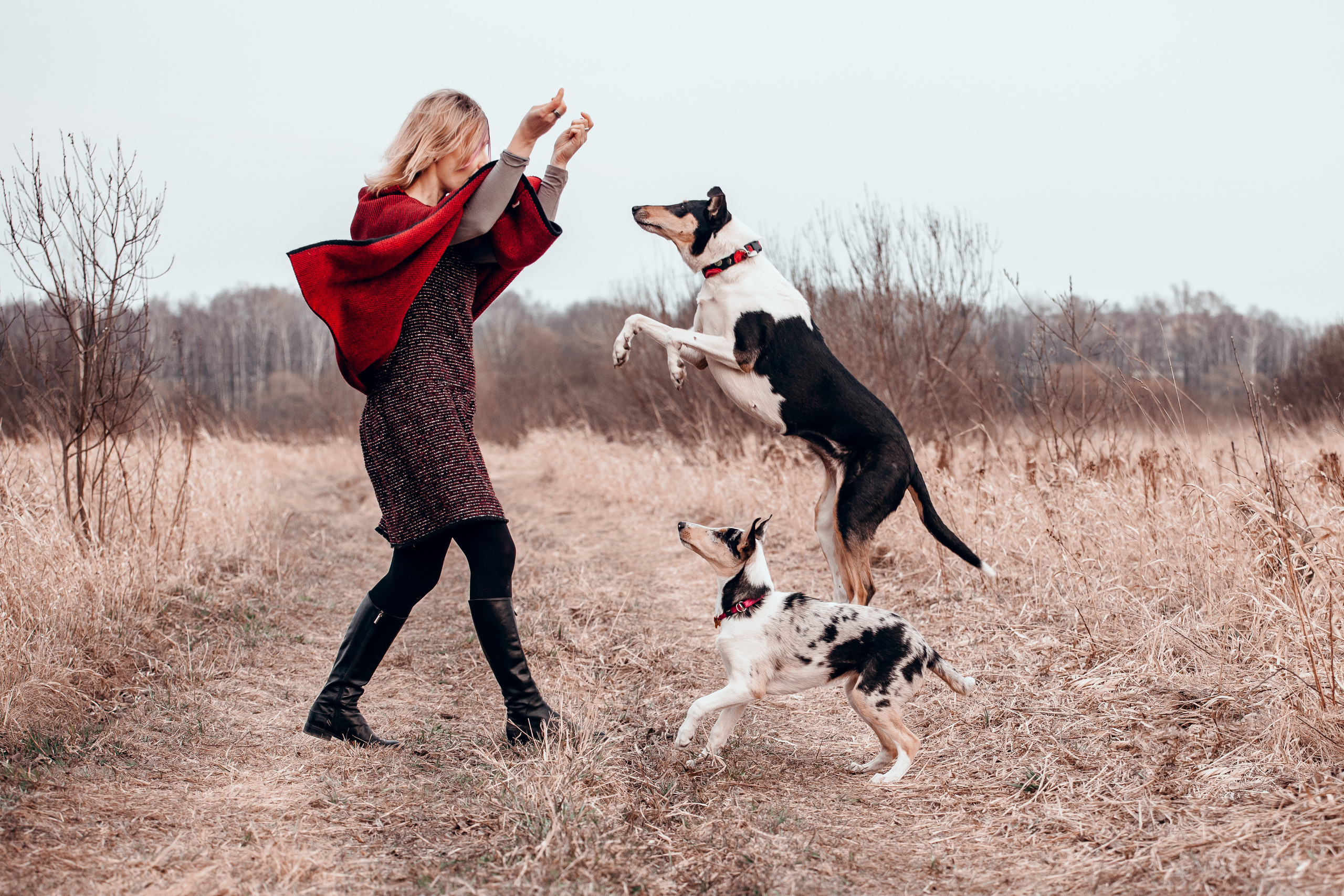 Про человека и собаку. Портретная и семейная фотосъемка в Москве