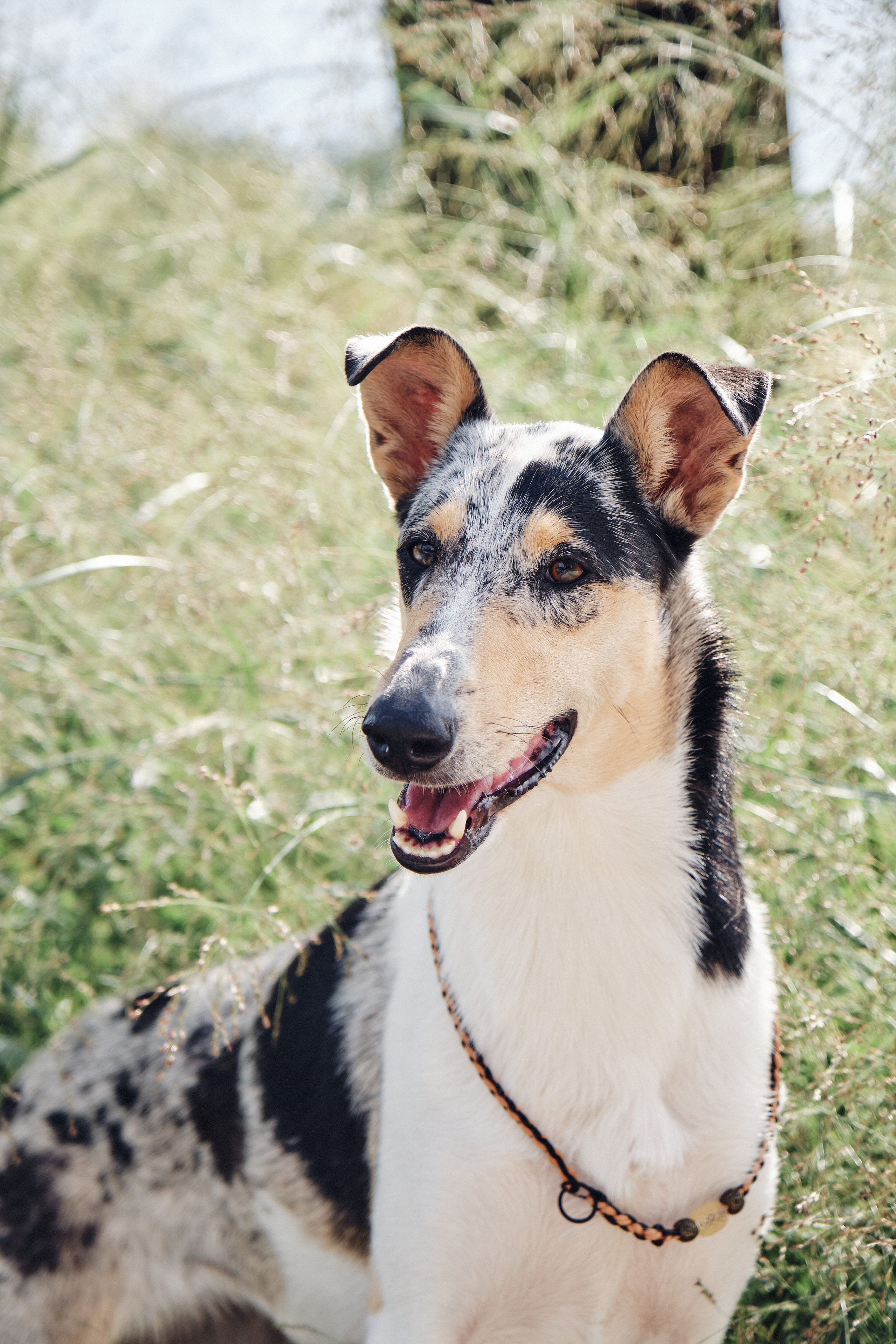 Про человека и собаку. Портретная и семейная фотосъемка в Москве
