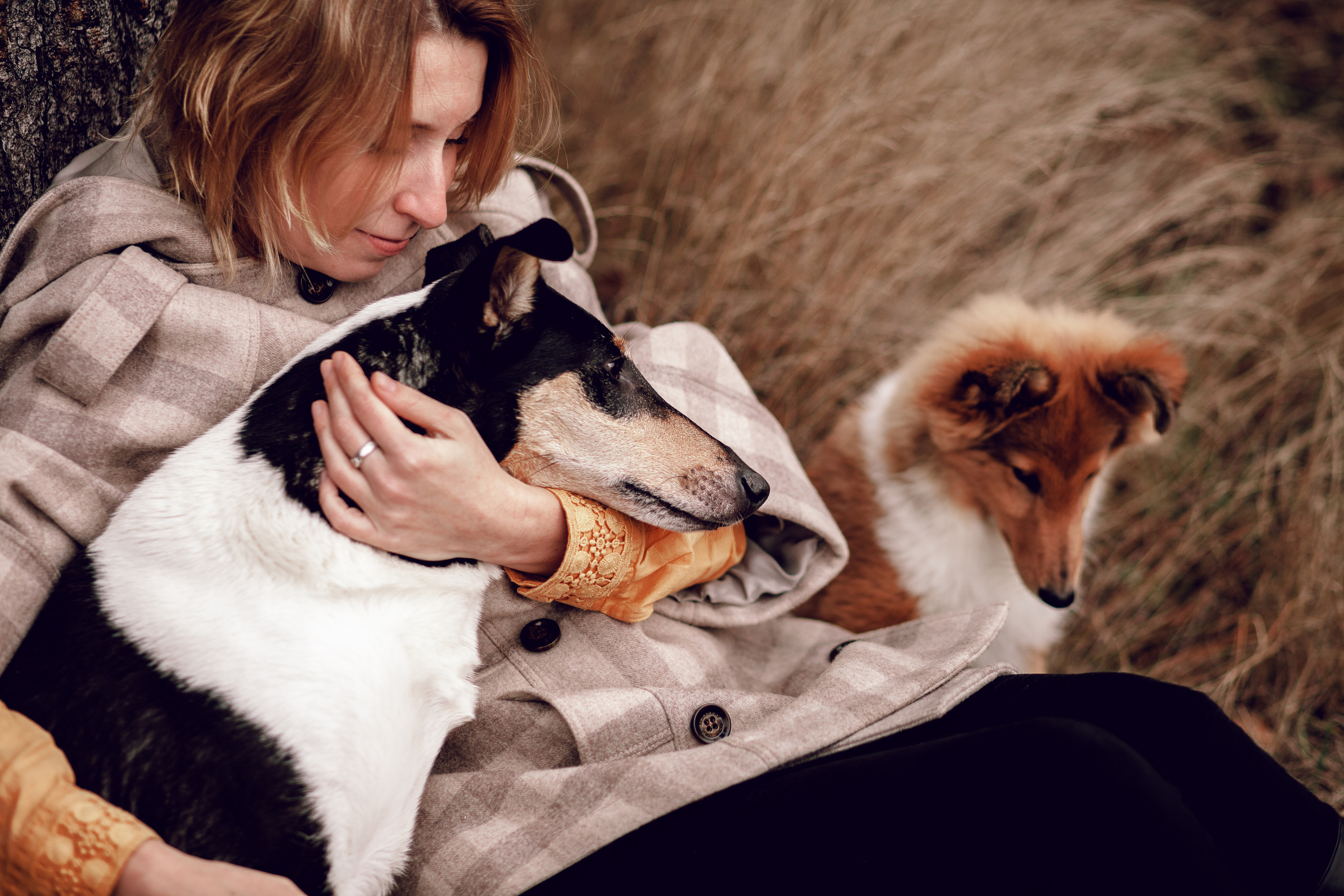 Про человека и собаку. Портретная и семейная фотосъемка в Москве