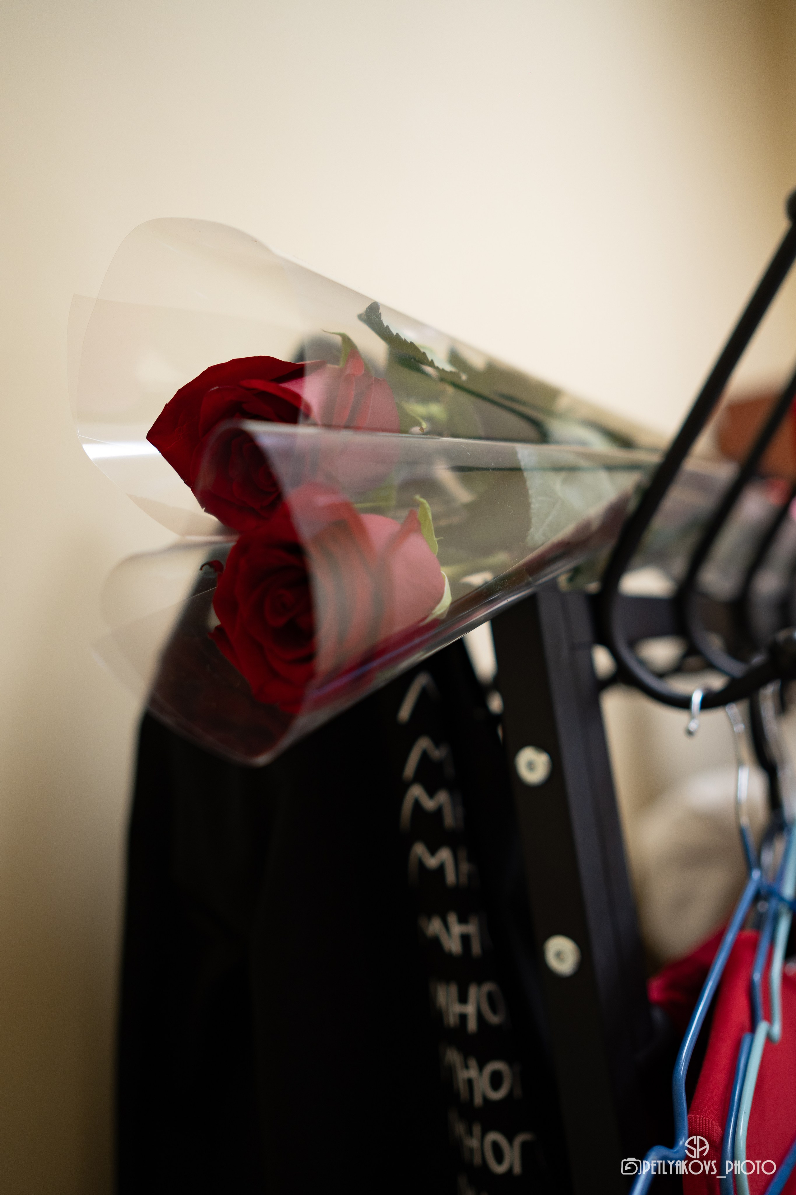 Отчётный концерт LEVITA. Фотограф, видеограф Пятигорск, Ставрополь, Ессентуки, Petlyakovs_photo