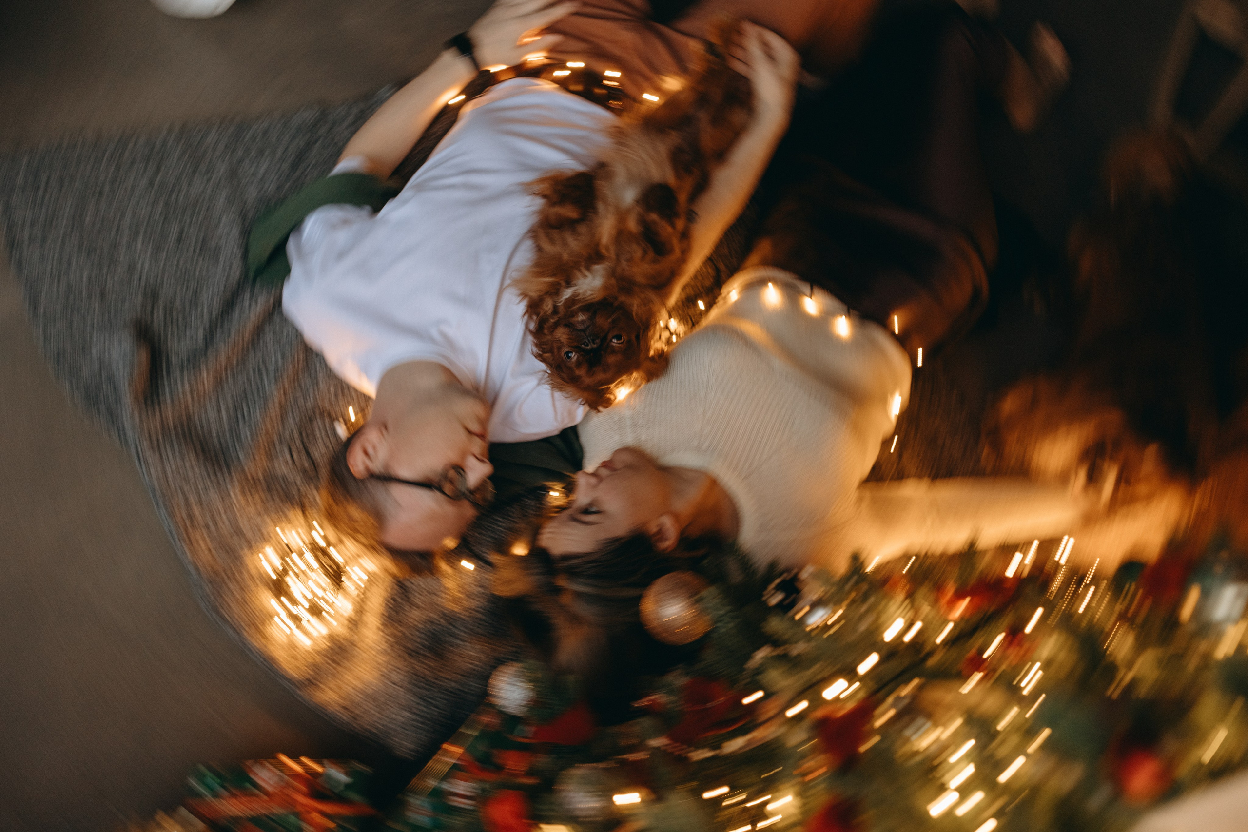 Новогодние фотостудии. Фотограф — Анималист | Санкт-Петербург