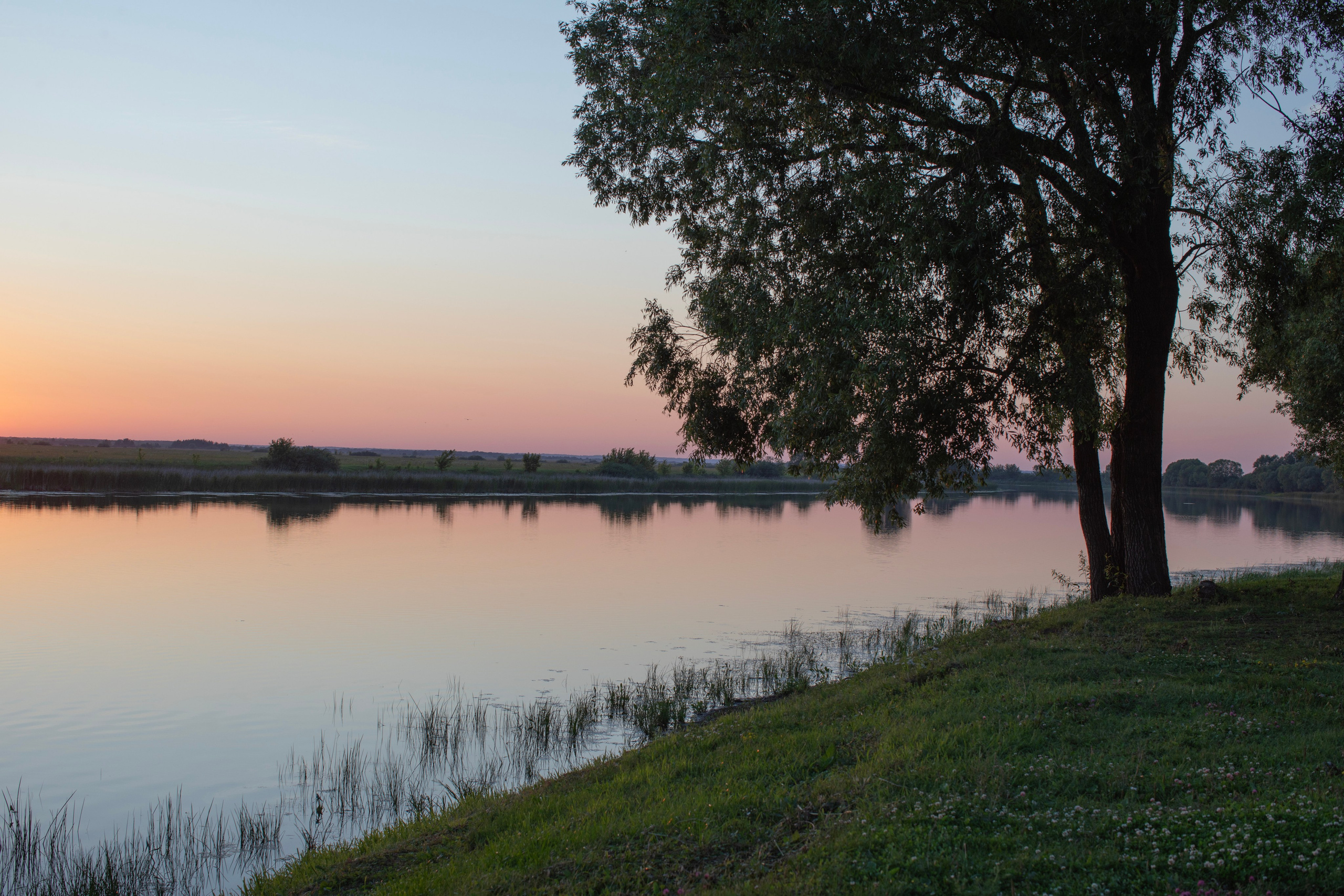 Рязань'25. Фотограф-портретист в Москве