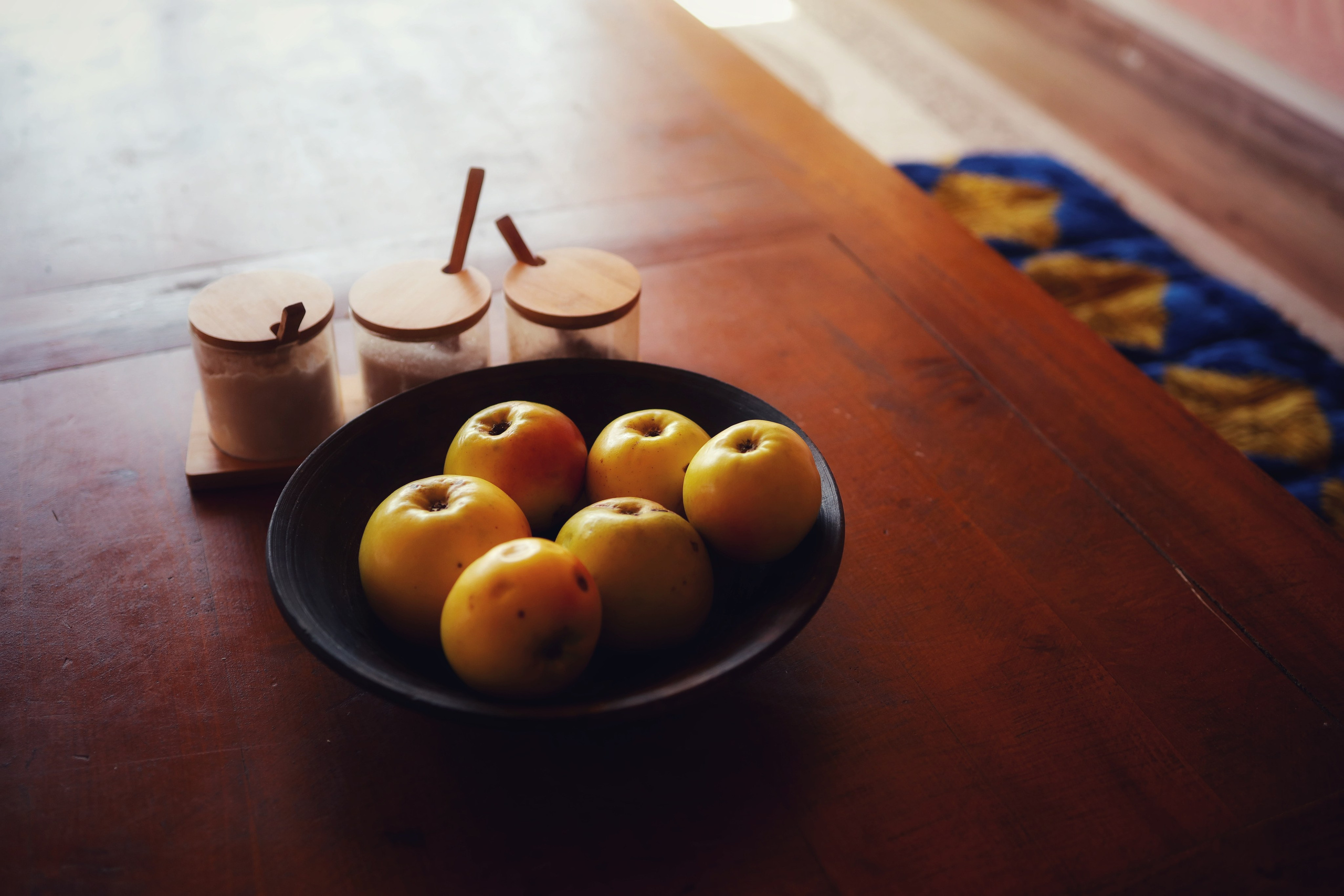 Zhanyl Baisheva, UNESCO ICH / Kyrgyzstan 2024. POLINA MÔMOT