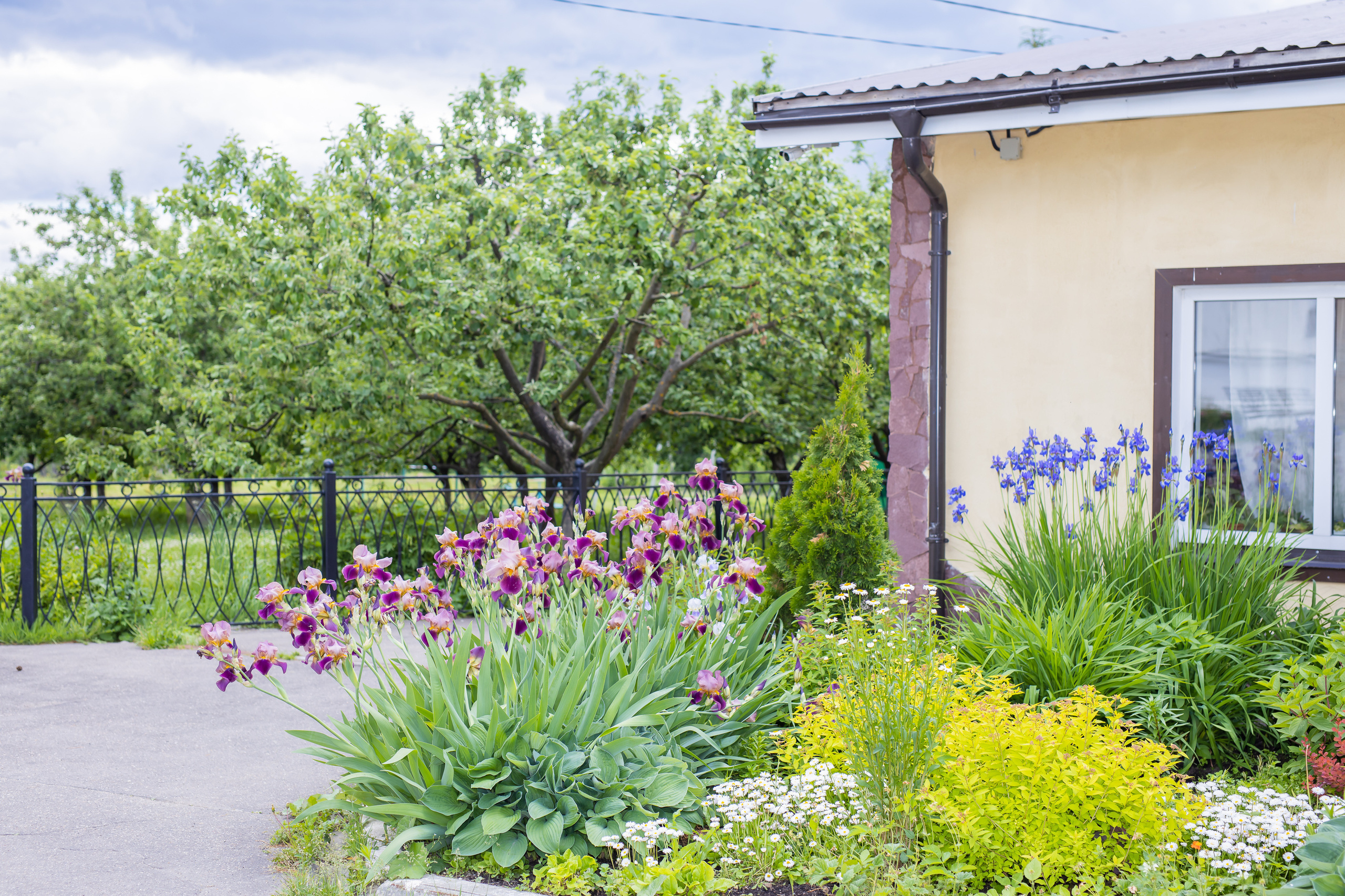 Фото и видеосъёмка крестины в Москве. Профессиональная фото и видеосъемка. Москва