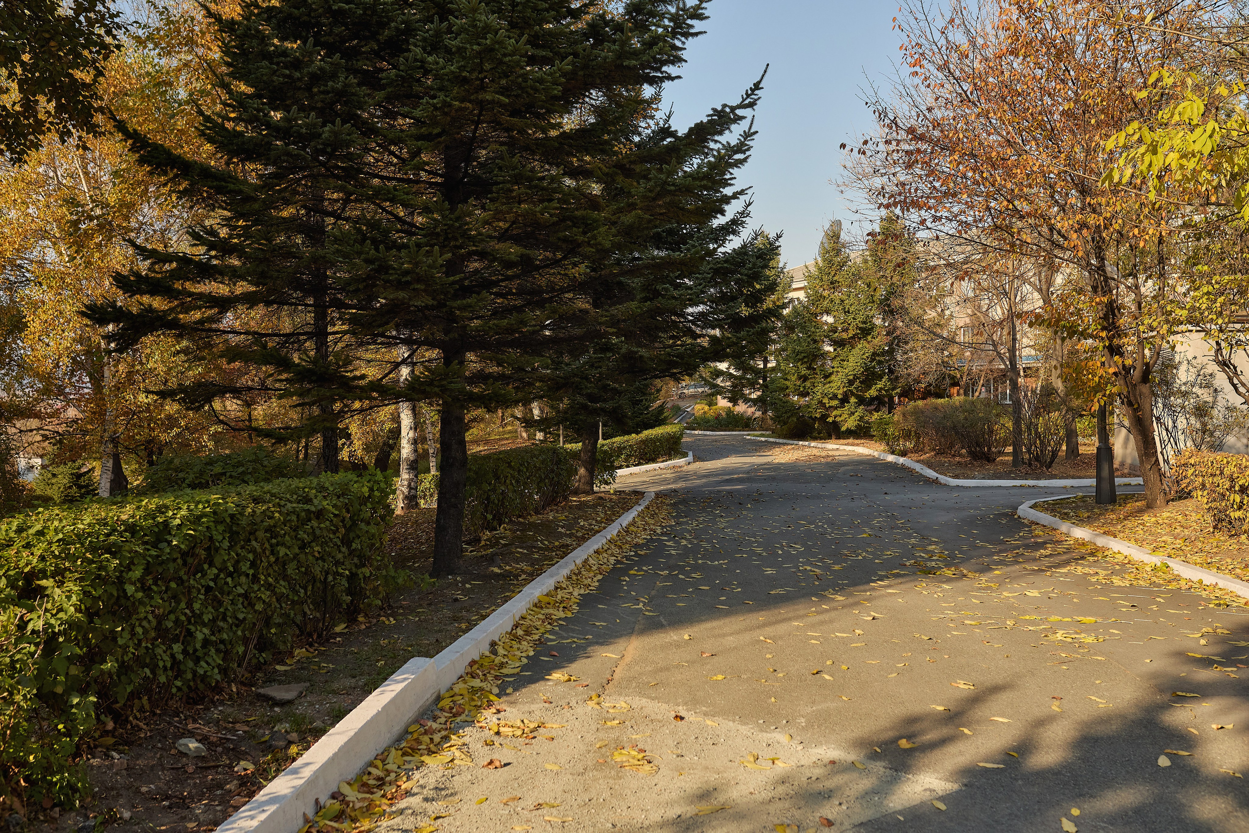 Осенний парк в Находке