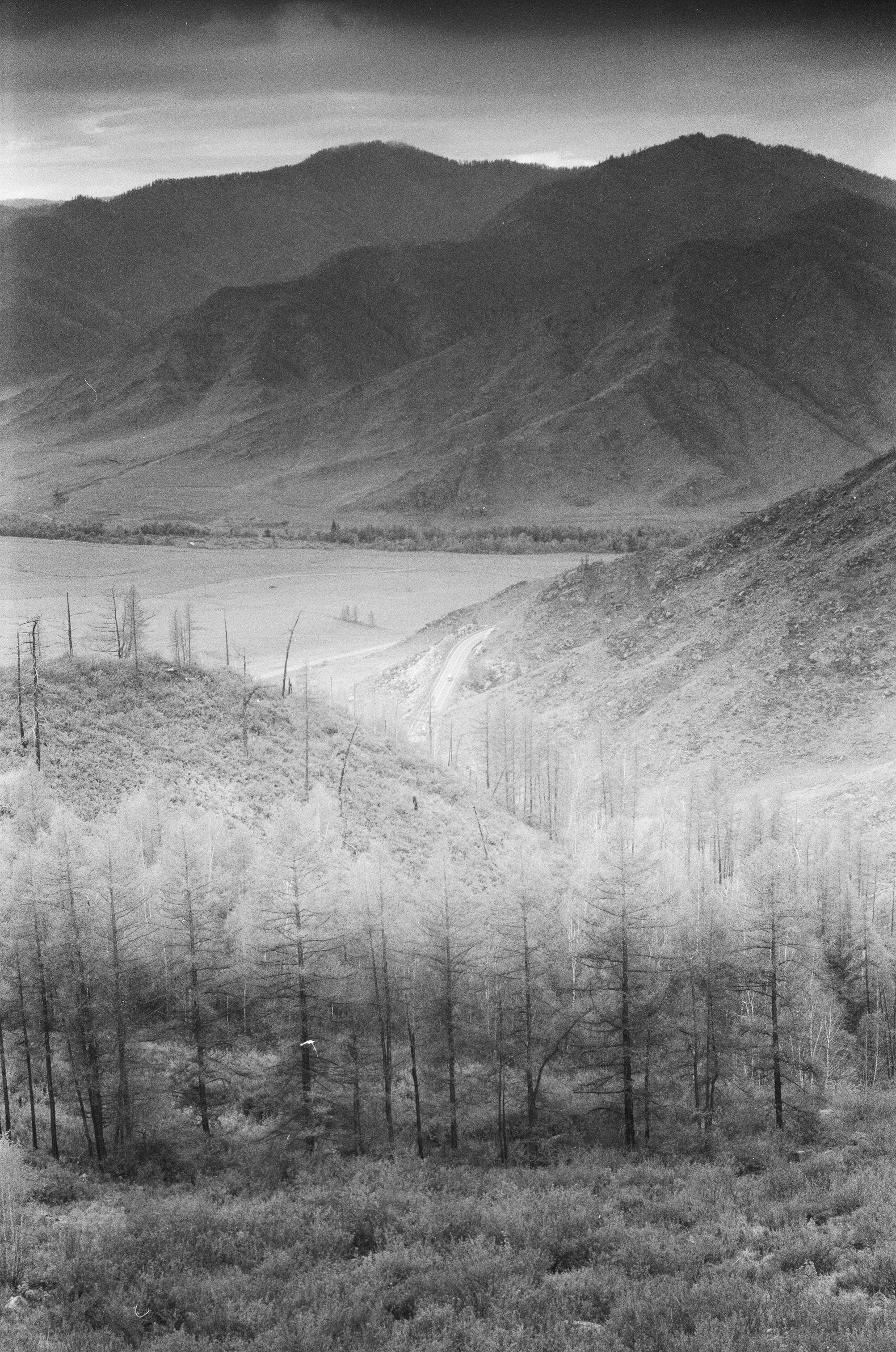 Altai \ august 2022 \ film. Коммерческий Фотограф Виктор Фоменых