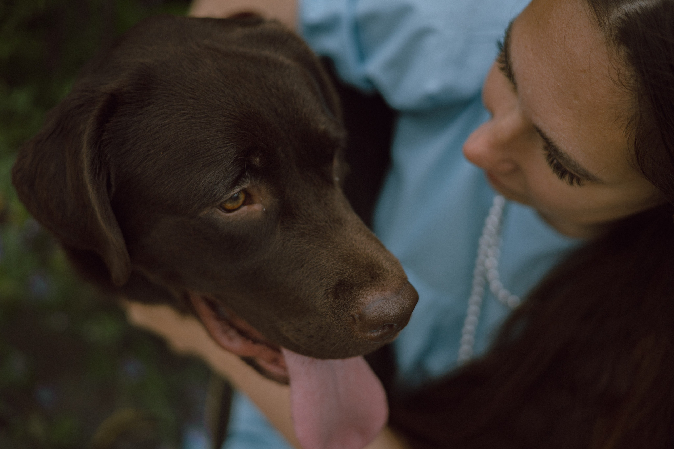 Оля и её шоколадный Тимофей. Фотограф — анималист •love-story•|Санкт-Петербург