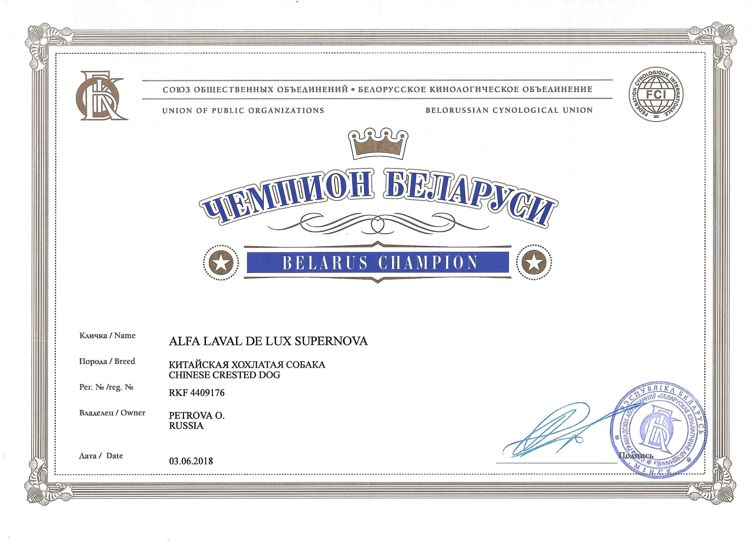 Alfa Laval De lux Supernova. Питомник китайских хохлатых собак Poale Ell: купить щенка