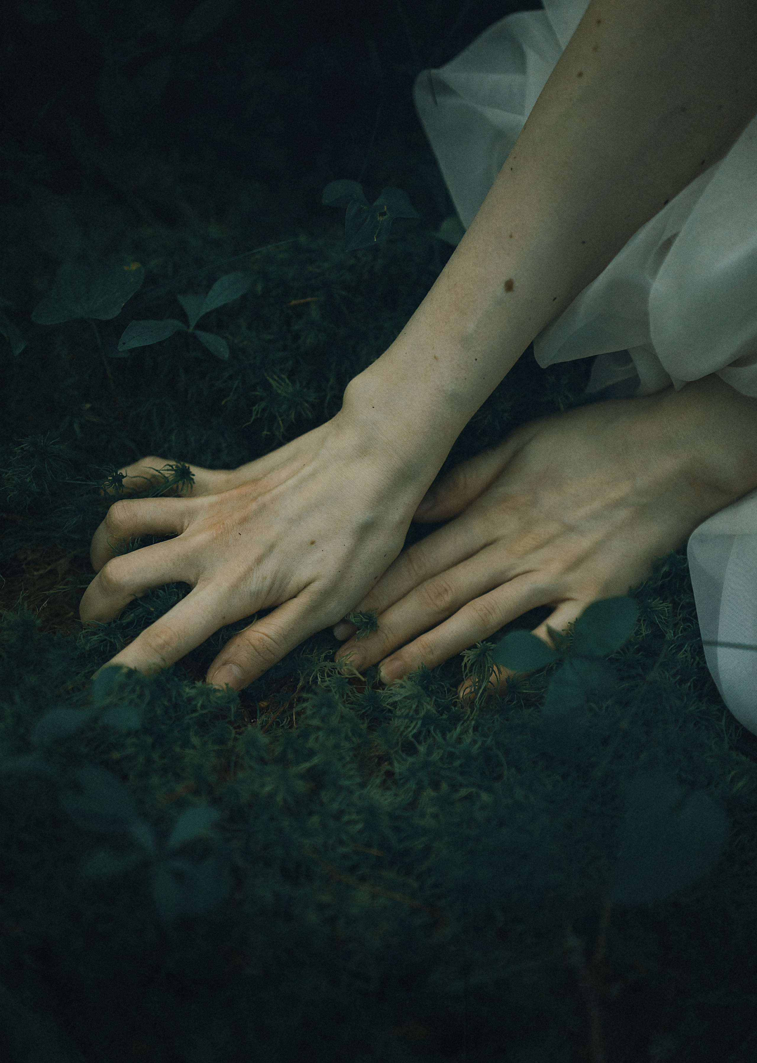 Фотохудожник и винтажный стилист sudarynya.svetlana