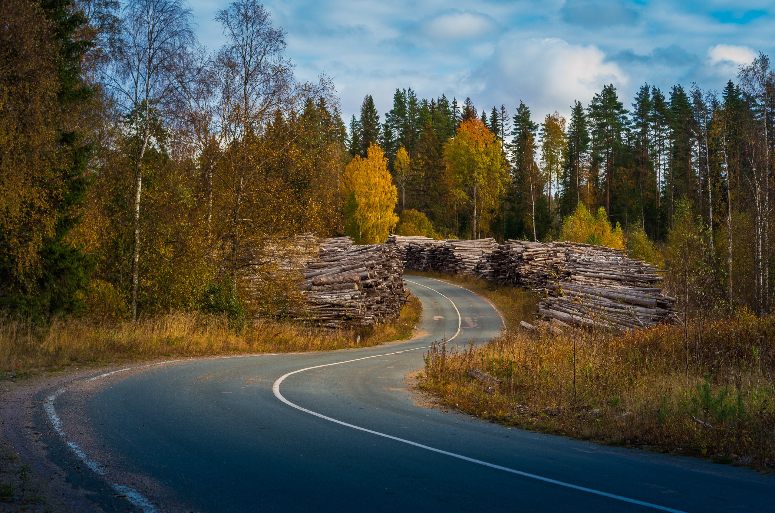 Фотограф Даниил Богомолов, Санкт-Петербург