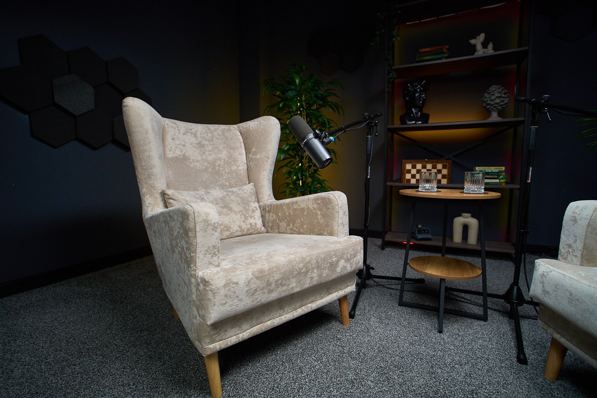 Подкаст студия в Сочи