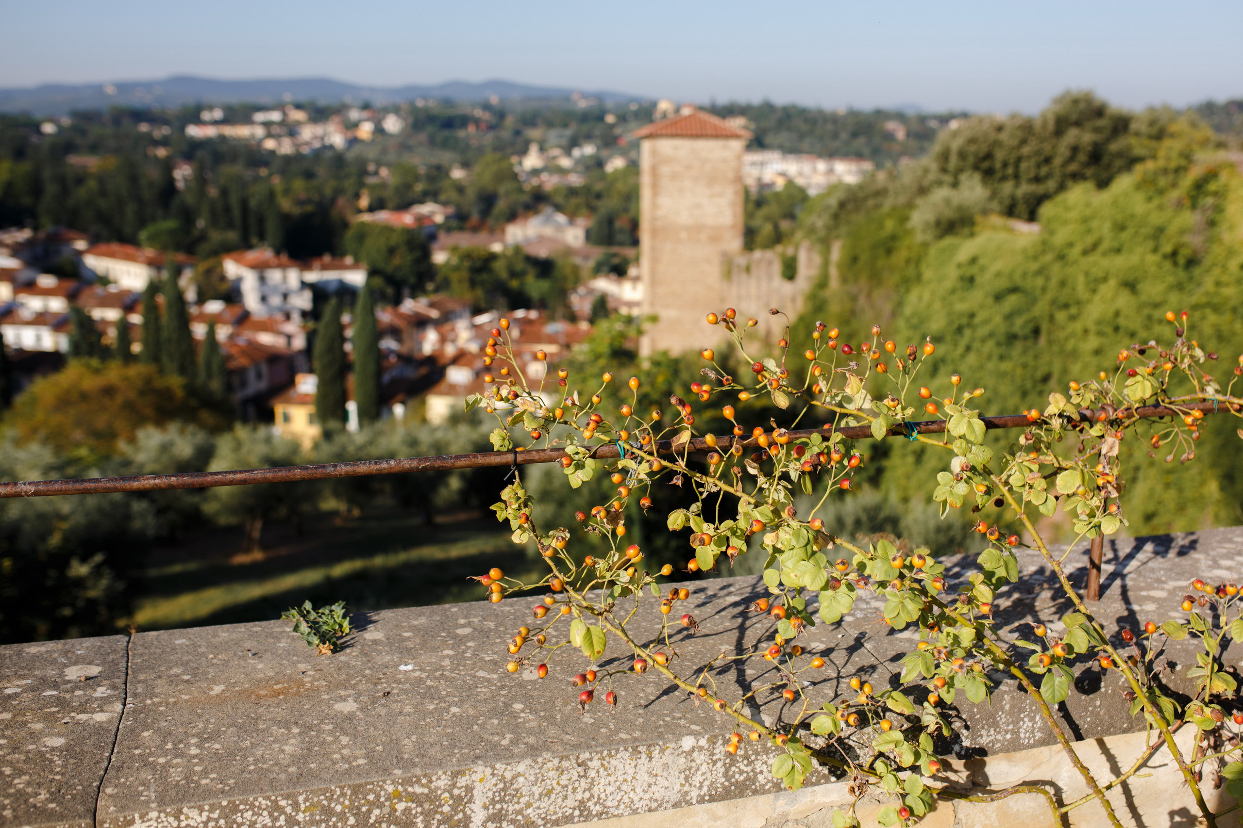 Поездка в Италию, отчет о путешествии в Италию. Свадебный фотограф в Санкт-Петербурге Никита Кузякин