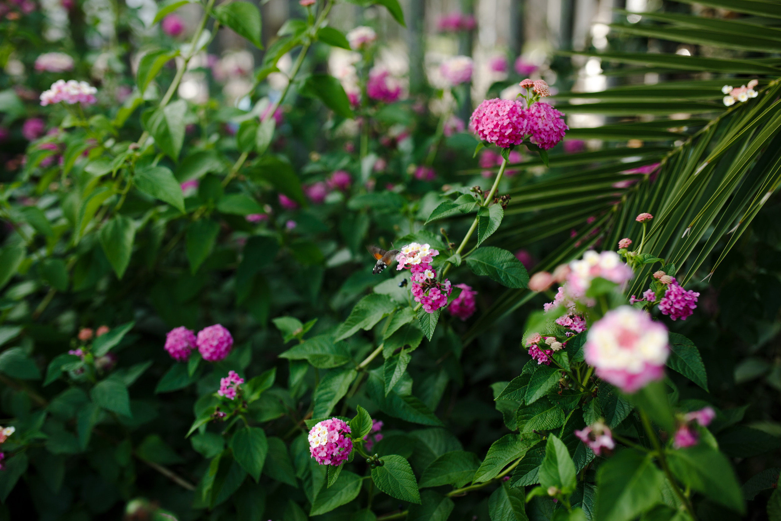 Поездка в Италию, отчет о путешествии в Италию. Свадебный фотограф в Санкт-Петербурге Никита Кузякин
