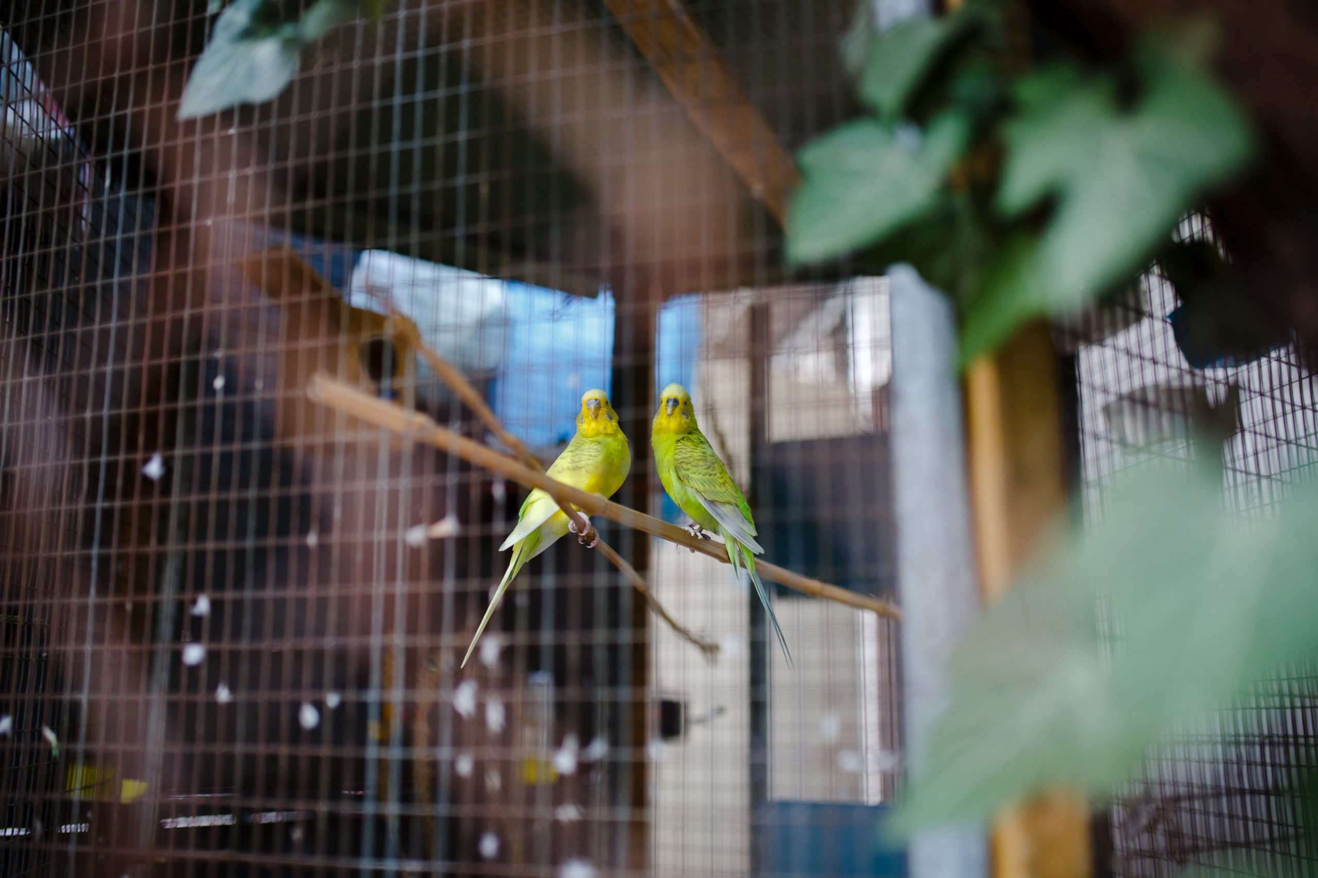 Поездка в Италию, отчет о путешествии в Италию. Свадебный фотограф в Санкт-Петербурге Никита Кузякин