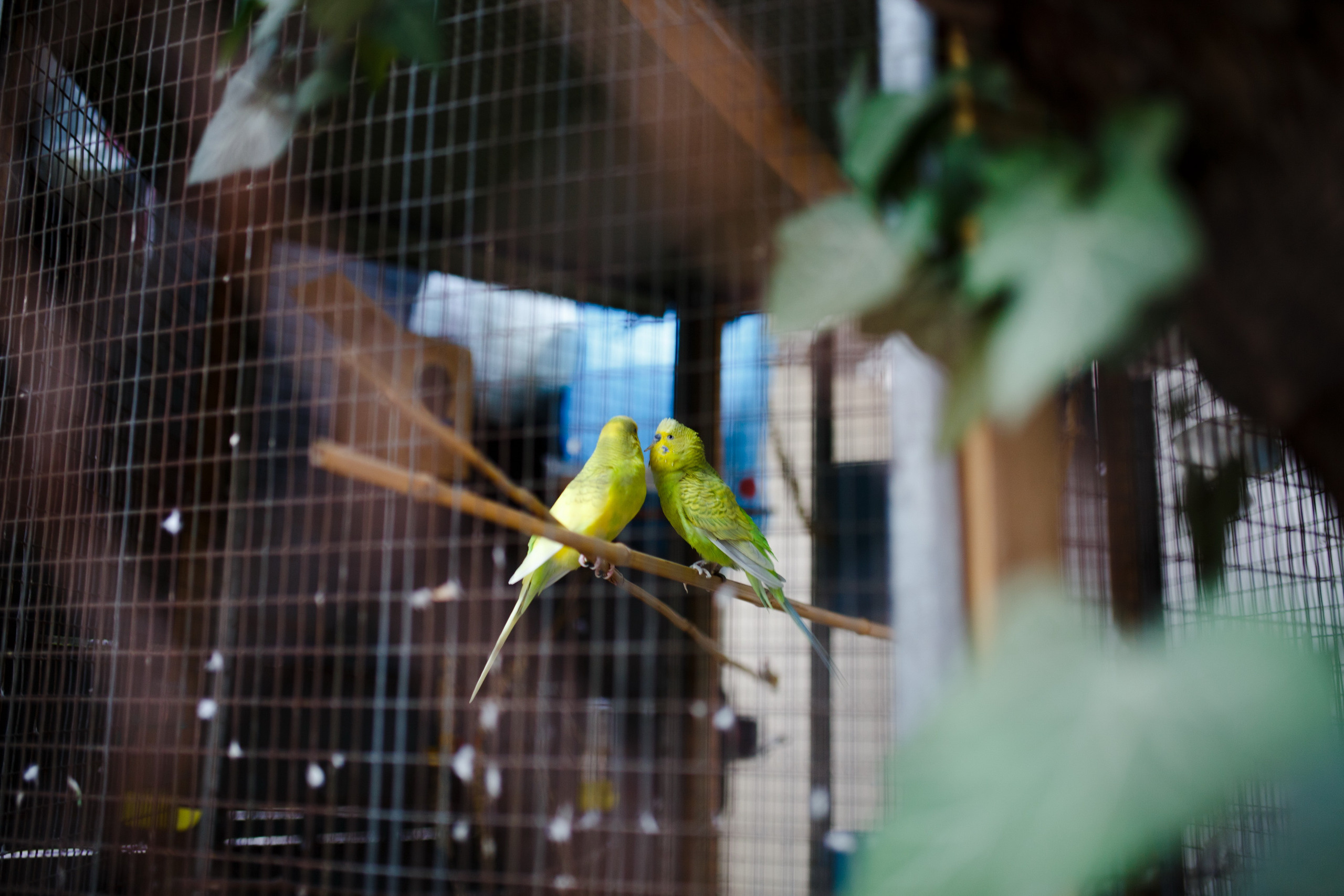 Поездка в Италию, отчет о путешествии в Италию. Свадебный фотограф в Санкт-Петербурге Никита Кузякин