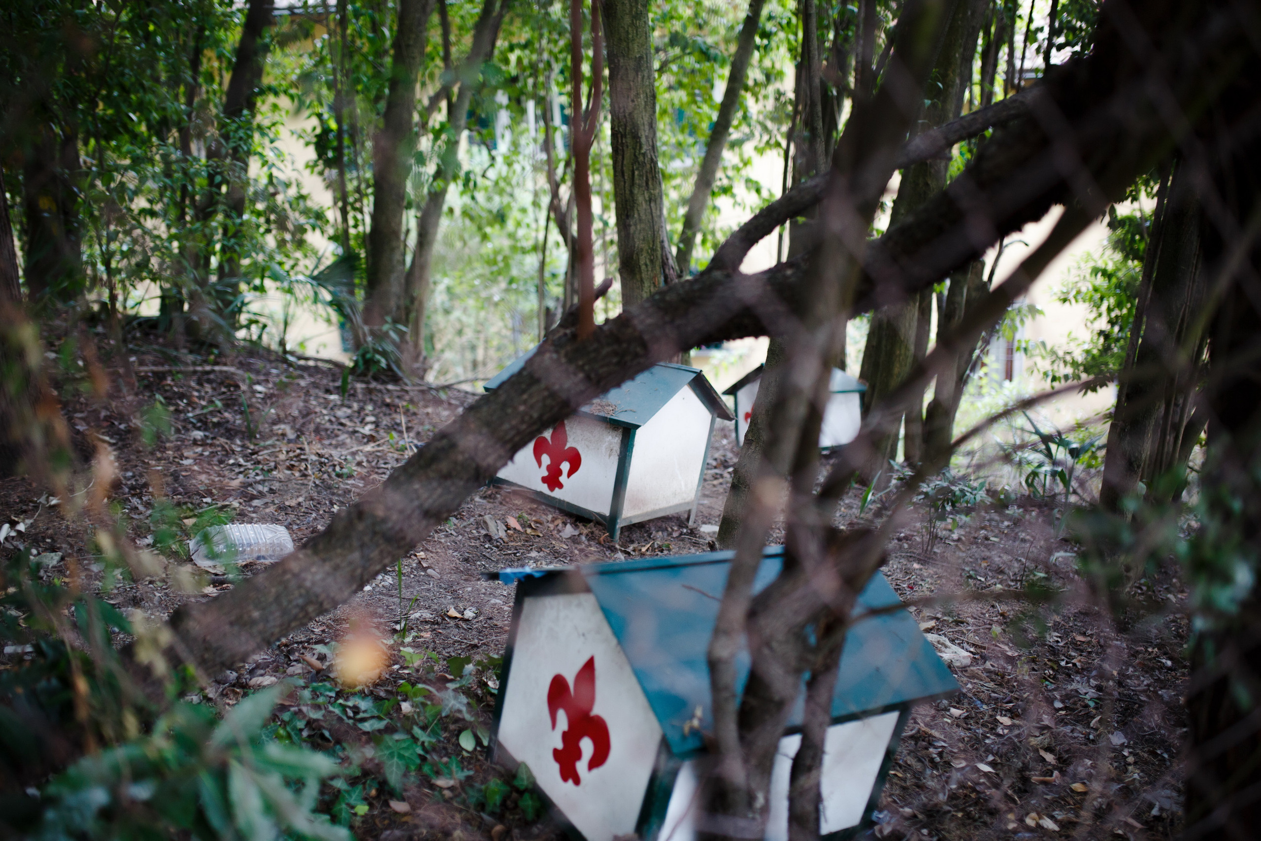 Поездка в Италию, отчет о путешествии в Италию. Свадебный фотограф в Санкт-Петербурге Никита Кузякин