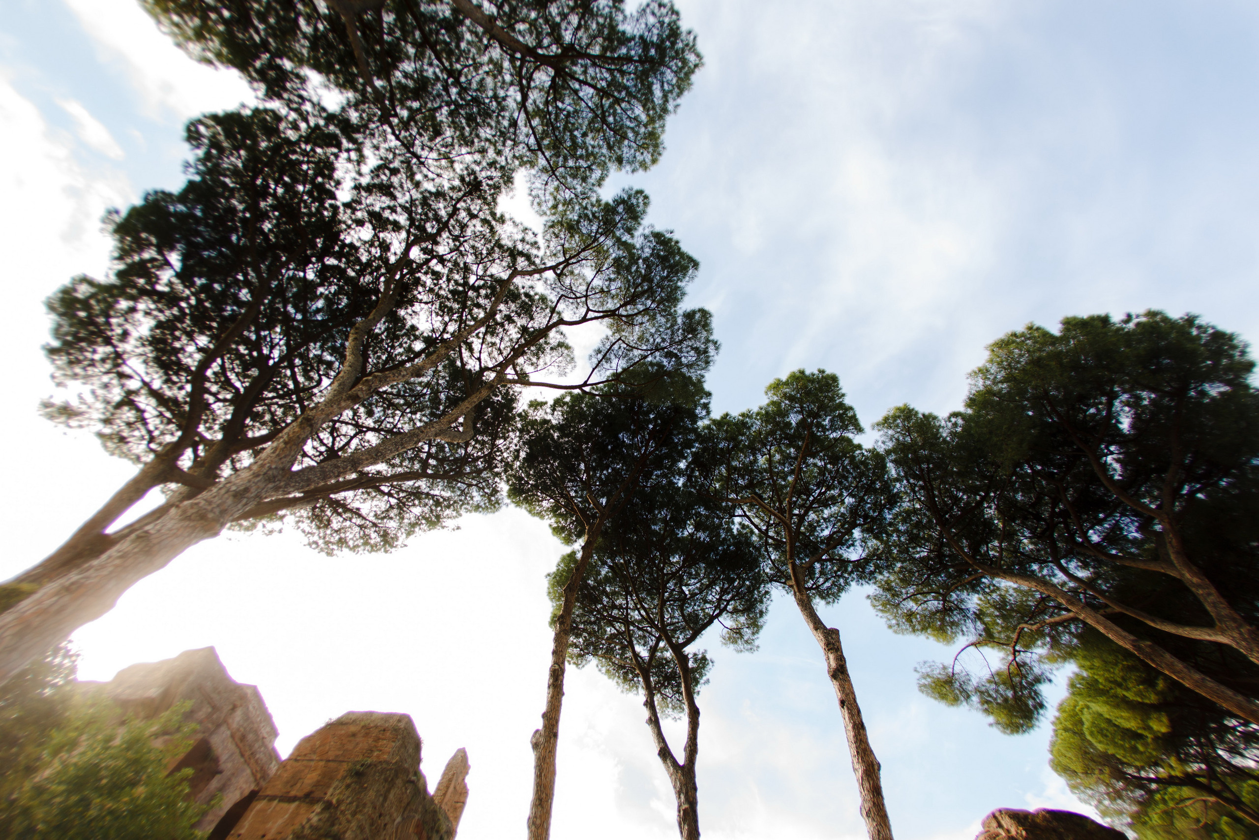 Поездка в Италию, отчет о путешествии в Италию. Свадебный фотограф в Санкт-Петербурге Никита Кузякин