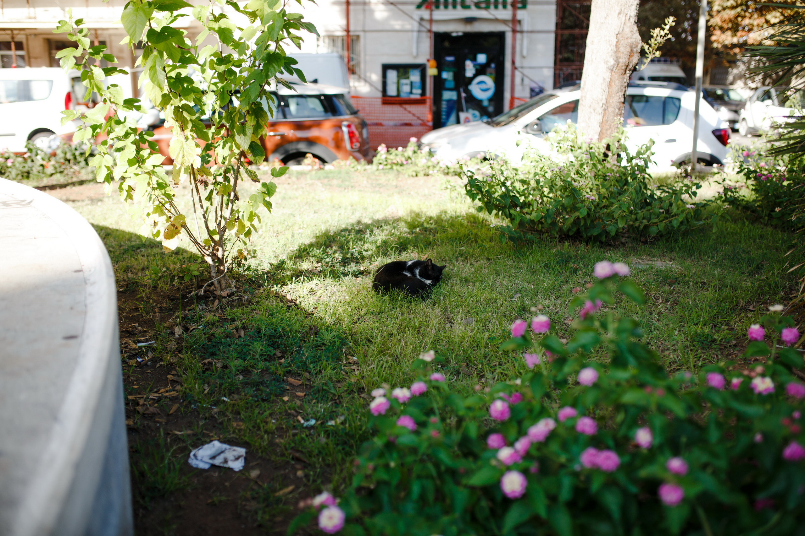 Поездка в Италию, отчет о путешествии в Италию. Свадебный фотограф в Санкт-Петербурге Никита Кузякин